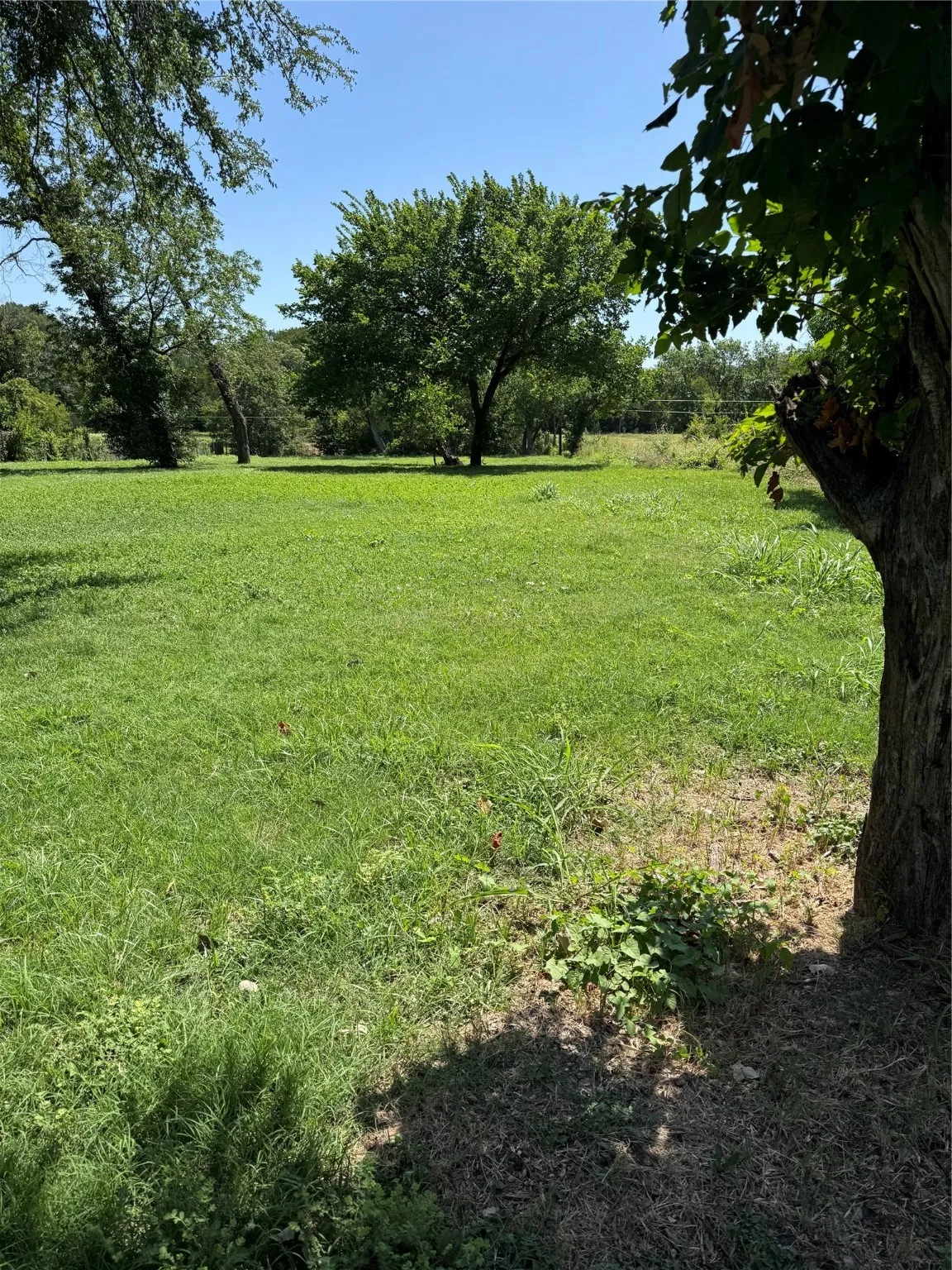 Unimproved Land For Sale in Dallas County , 2414 Finklea Street, Dallas, Texas 75212, 0, 0, Garage spaces, 0 Sqft, built in 0, mls#21008990, Real Estate Agent in Dallas, Homes For Sale in Dallas county, Homes For Sale in Dallas, Realtor in Dallas Texas, Real Estate Brokerage Independent Realty Texas, Luminita Cordes Realtor