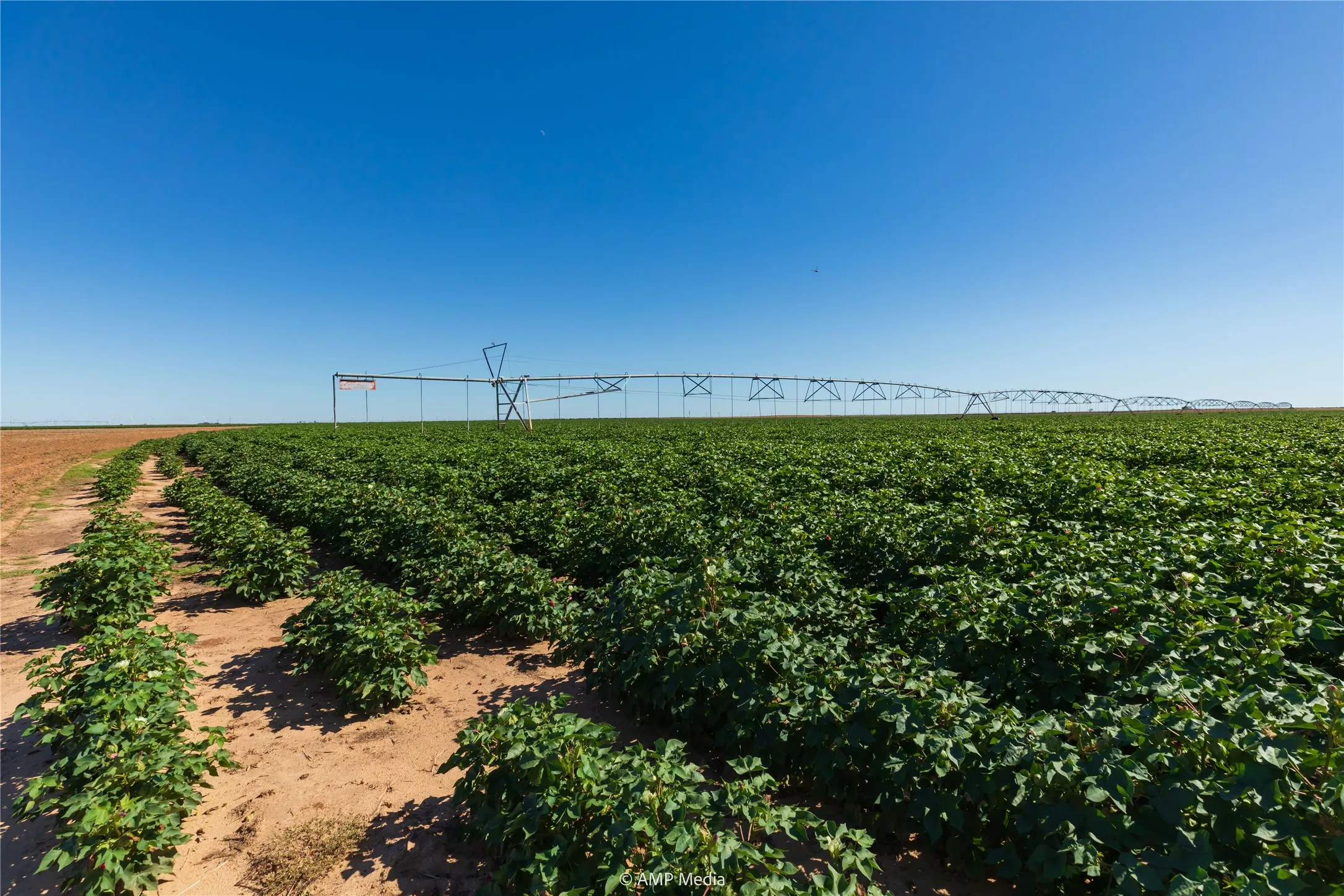 Ranch For Sale in Haskell County , TBD CR 1691, O'brien, Texas 79521, 0, 0, Garage spaces, 0 Sqft, built in 0, Price $1,246,400, mls#21009701, Real Estate Agent in O'brien, Homes For Sale in Haskell county, Homes For Sale in O'brien, Realtor in O'brien Texas, Real Estate Brokerage Independent Realty Texas, Luminita Cordes Realtor