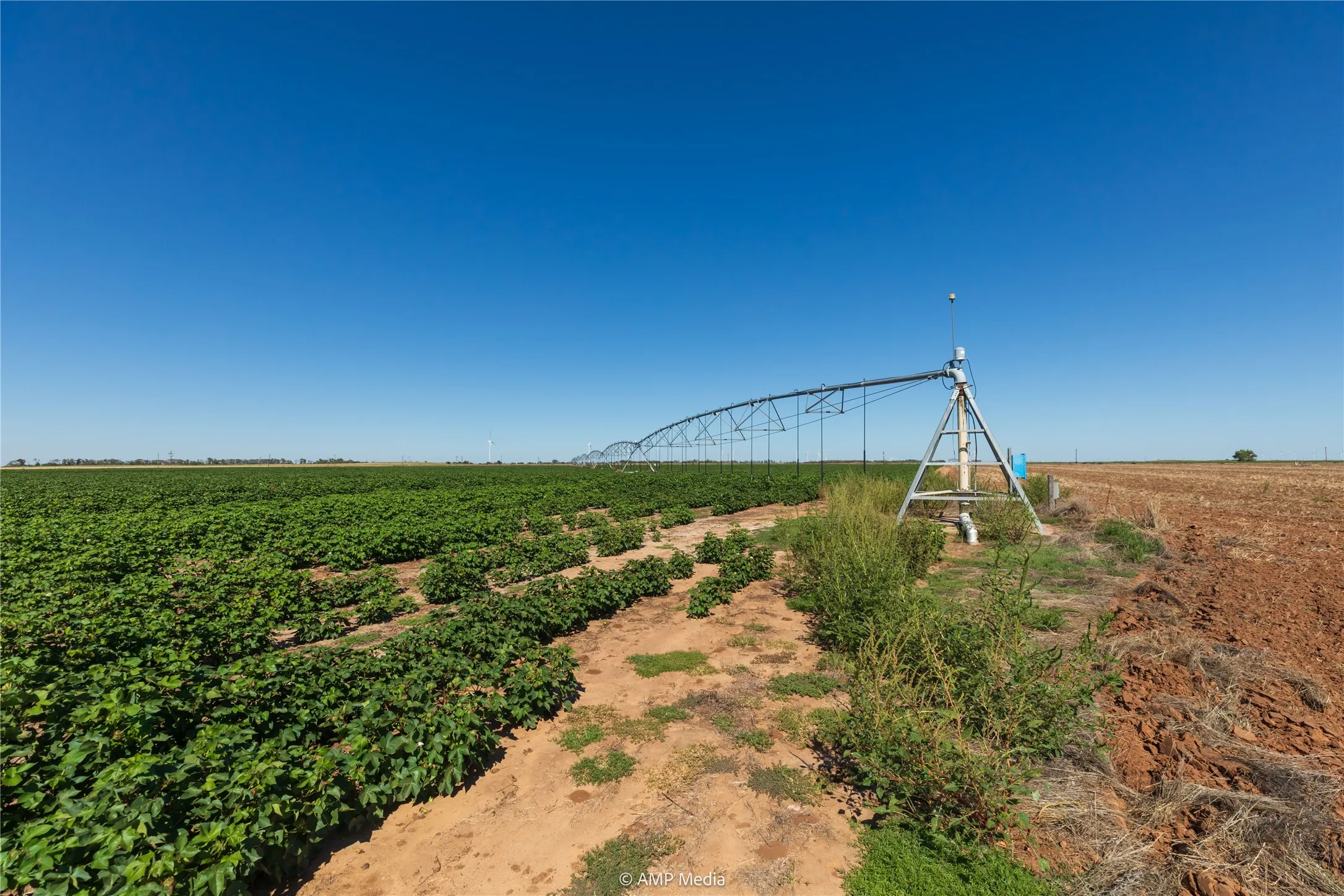 Ranch For Sale in Haskell County , TBD CR 1691, O'brien, Texas 79521, 0, 0, Garage spaces, 0 Sqft, built in 0, Price $1,246,400, mls#21009701, Real Estate Agent in O'brien, Homes For Sale in Haskell county, Homes For Sale in O'brien, Realtor in O'brien Texas, Real Estate Brokerage Independent Realty Texas, Luminita Cordes Realtor