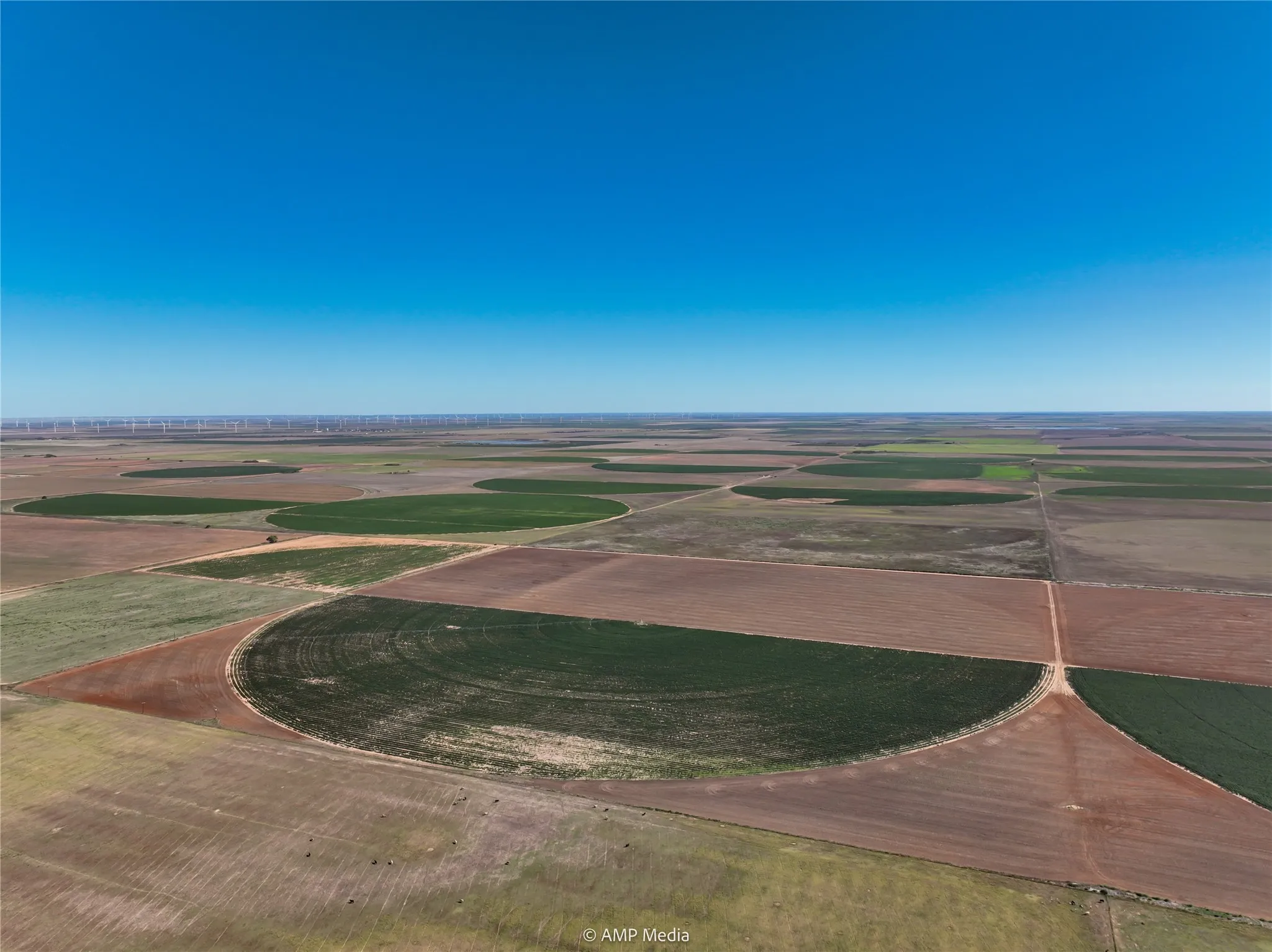 Ranch For Sale in Haskell County , TBD CR 1691, O'brien, Texas 79521, 0, 0, Garage spaces, 0 Sqft, built in 0, Price $1,246,400, mls#21009701, Real Estate Agent in O'brien, Homes For Sale in Haskell county, Homes For Sale in O'brien, Realtor in O'brien Texas, Real Estate Brokerage Independent Realty Texas, Luminita Cordes Realtor