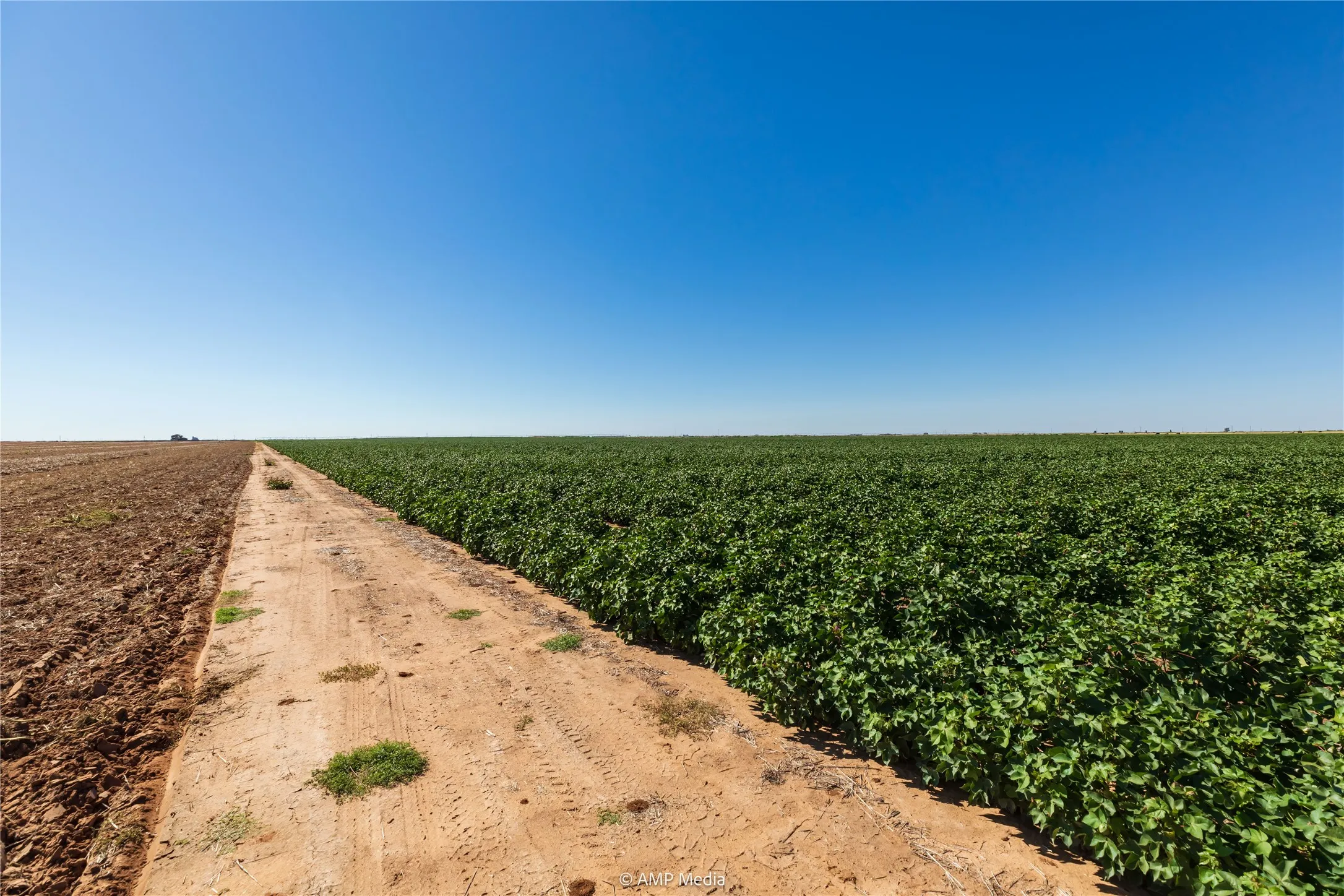 Ranch For Sale in Haskell County , TBD CR 1691, O'brien, Texas 79521, 0, 0, Garage spaces, 0 Sqft, built in 0, Price $1,246,400, mls#21009701, Real Estate Agent in O'brien, Homes For Sale in Haskell county, Homes For Sale in O'brien, Realtor in O'brien Texas, Real Estate Brokerage Independent Realty Texas, Luminita Cordes Realtor
