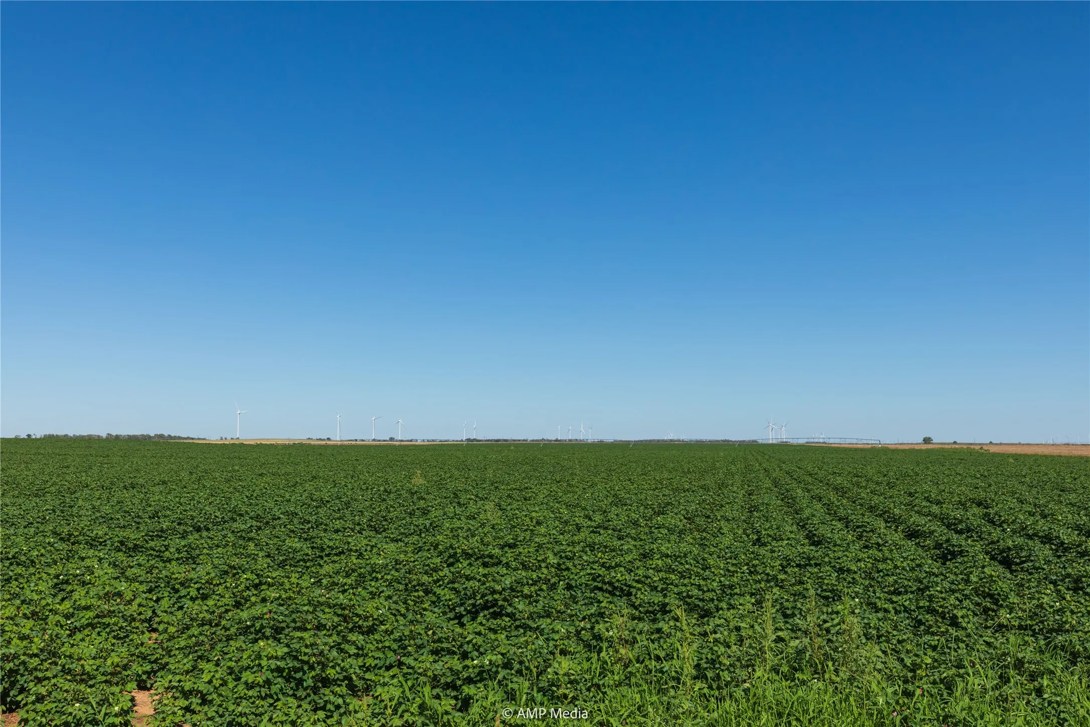 Ranch For Sale in Haskell County , TBD CR 1691, O'brien, Texas 79521, 0, 0, Garage spaces, 0 Sqft, built in 0, Price $1,246,400, mls#21009701, Real Estate Agent in O'brien, Homes For Sale in Haskell county, Homes For Sale in O'brien, Realtor in O'brien Texas, Real Estate Brokerage Independent Realty Texas, Luminita Cordes Realtor