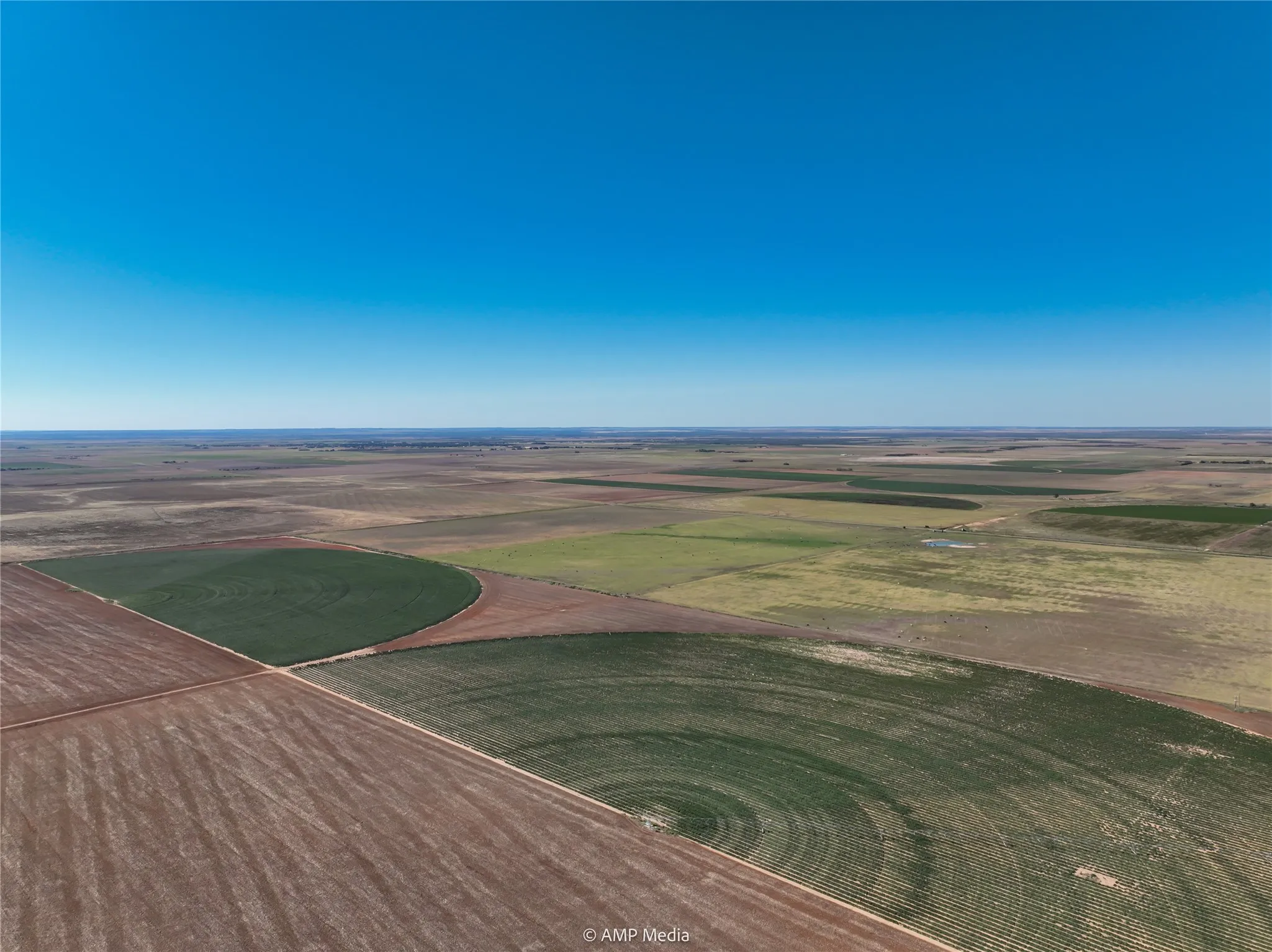 Ranch For Sale in Haskell County , TBD CR 1691, O'brien, Texas 79521, 0, 0, Garage spaces, 0 Sqft, built in 0, Price $1,246,400, mls#21009701, Real Estate Agent in O'brien, Homes For Sale in Haskell county, Homes For Sale in O'brien, Realtor in O'brien Texas, Real Estate Brokerage Independent Realty Texas, Luminita Cordes Realtor