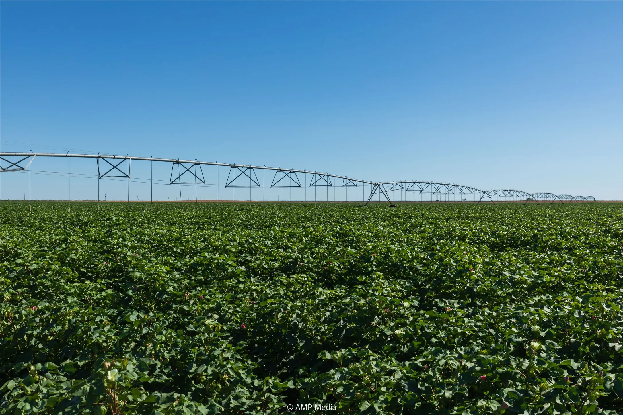 Ranch For Sale in Haskell County , TBD CR 1691, O'brien, Texas 79521, 0, 0, Garage spaces, 0 Sqft, built in 0, Price $1,246,400, mls#21009701, Real Estate Agent in O'brien, Homes For Sale in Haskell county, Homes For Sale in O'brien, Realtor in O'brien Texas, Real Estate Brokerage Independent Realty Texas, Luminita Cordes Realtor