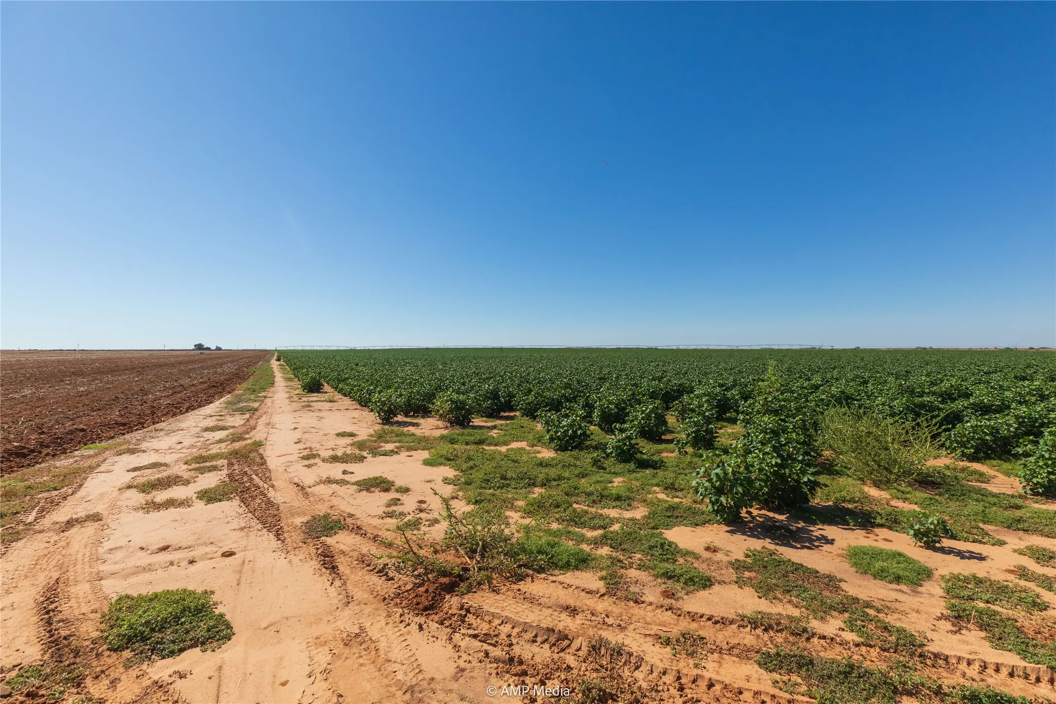 Ranch For Sale in Haskell County , TBD CR 1691, O'brien, Texas 79521, 0, 0, Garage spaces, 0 Sqft, built in 0, Price $1,246,400, mls#21009701, Real Estate Agent in O'brien, Homes For Sale in Haskell county, Homes For Sale in O'brien, Realtor in O'brien Texas, Real Estate Brokerage Independent Realty Texas, Luminita Cordes Realtor