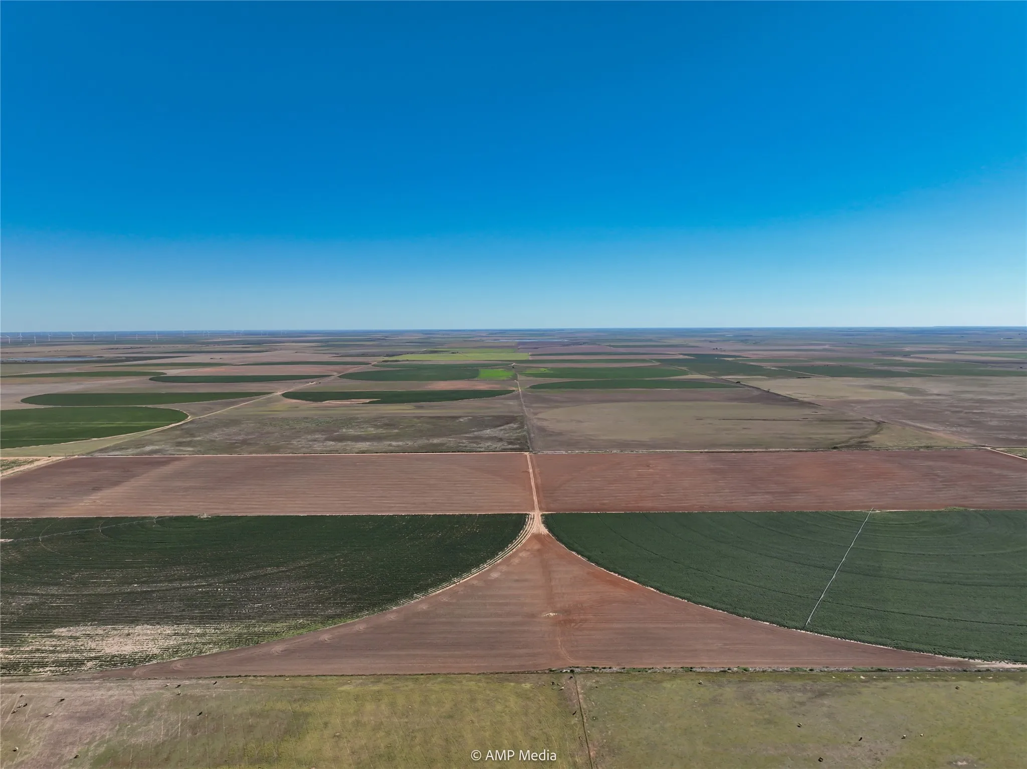 Ranch For Sale in Haskell County , TBD CR 1691, O'brien, Texas 79521, 0, 0, Garage spaces, 0 Sqft, built in 0, Price $1,246,400, mls#21009701, Real Estate Agent in O'brien, Homes For Sale in Haskell county, Homes For Sale in O'brien, Realtor in O'brien Texas, Real Estate Brokerage Independent Realty Texas, Luminita Cordes Realtor