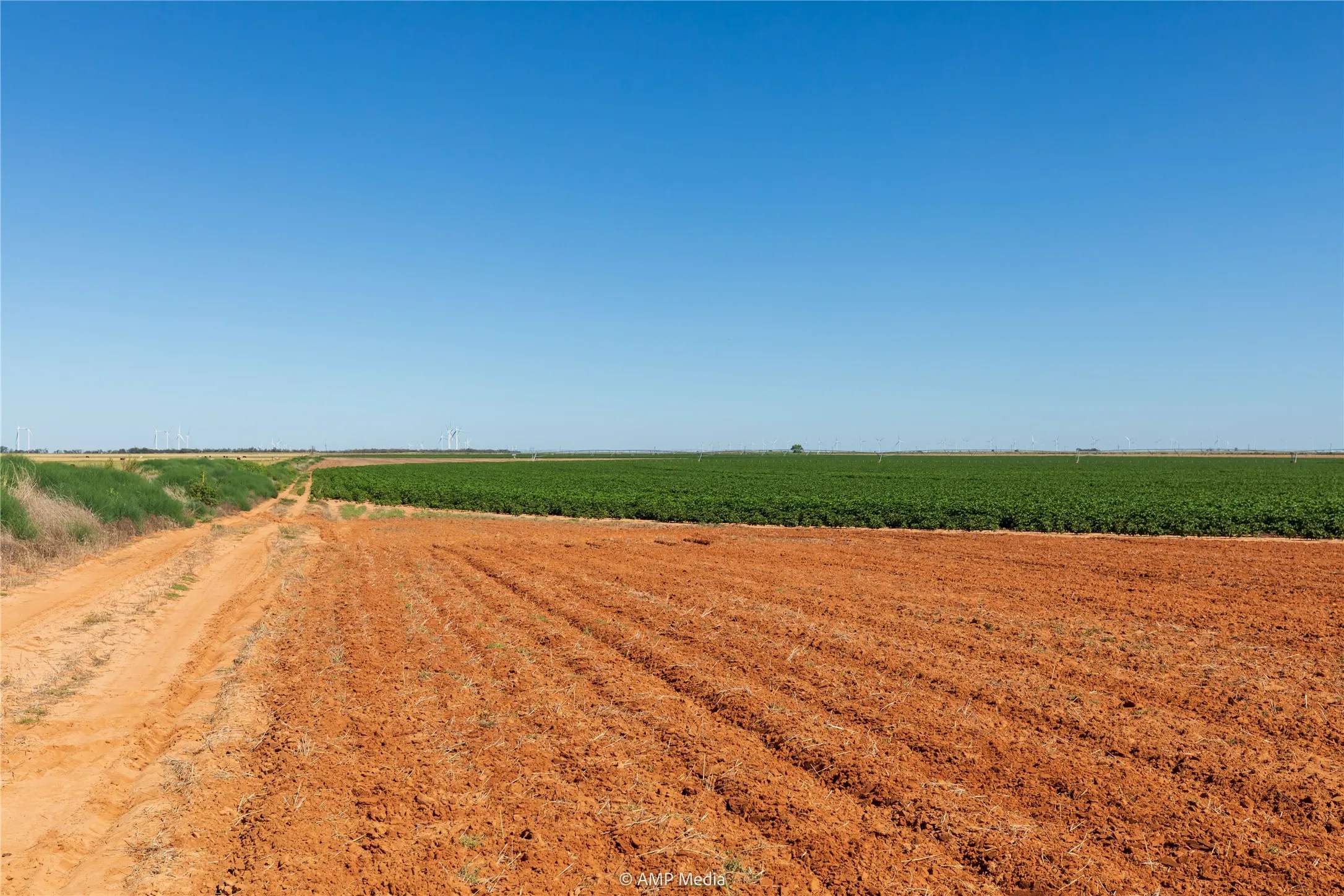 Ranch For Sale in Haskell County , TBD CR 1691, O'brien, Texas 79521, 0, 0, Garage spaces, 0 Sqft, built in 0, Price $1,246,400, mls#21009701, Real Estate Agent in O'brien, Homes For Sale in Haskell county, Homes For Sale in O'brien, Realtor in O'brien Texas, Real Estate Brokerage Independent Realty Texas, Luminita Cordes Realtor