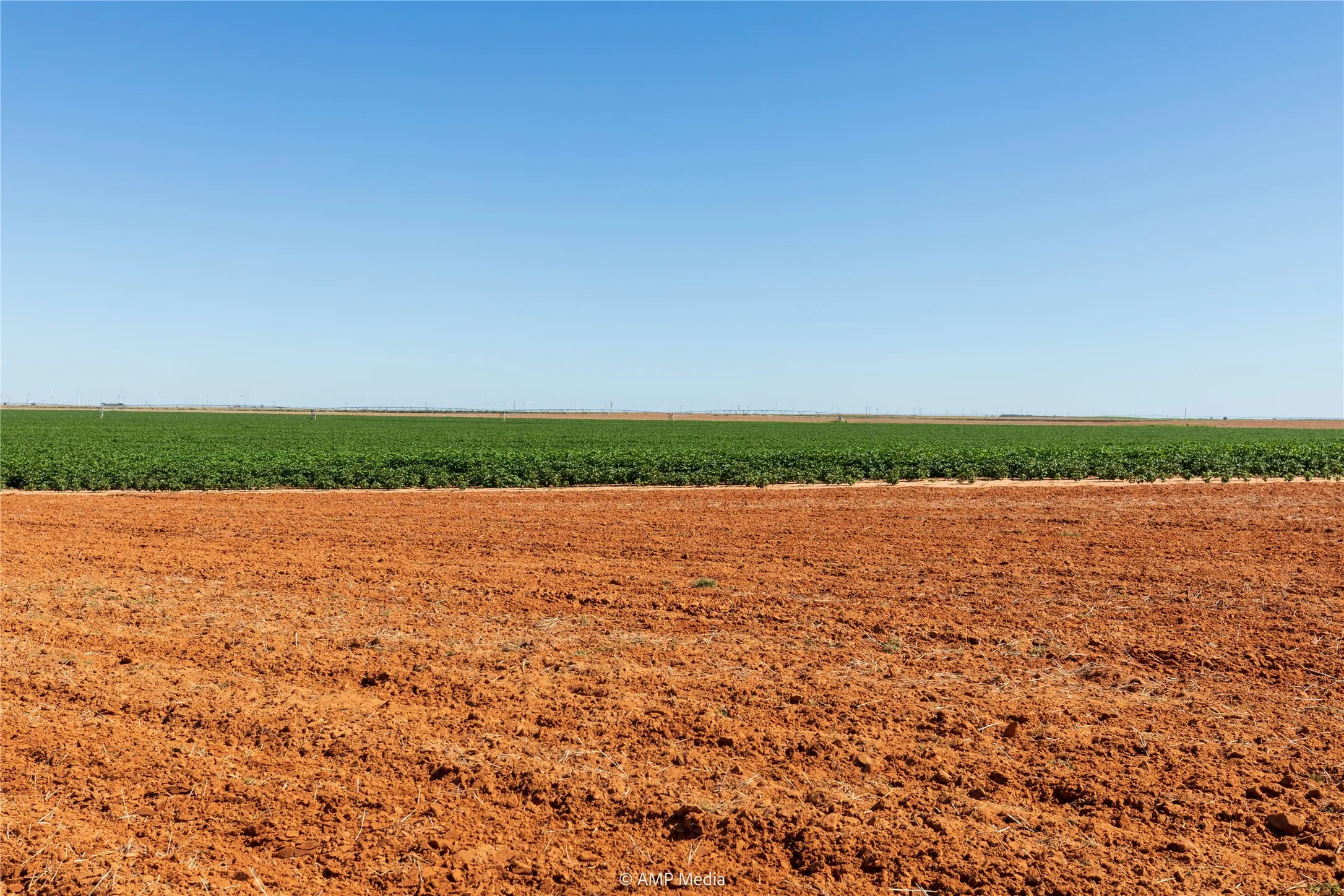 Ranch For Sale in Haskell County , TBD CR 1691, O'brien, Texas 79521, 0, 0, Garage spaces, 0 Sqft, built in 0, Price $1,246,400, mls#21009701, Real Estate Agent in O'brien, Homes For Sale in Haskell county, Homes For Sale in O'brien, Realtor in O'brien Texas, Real Estate Brokerage Independent Realty Texas, Luminita Cordes Realtor