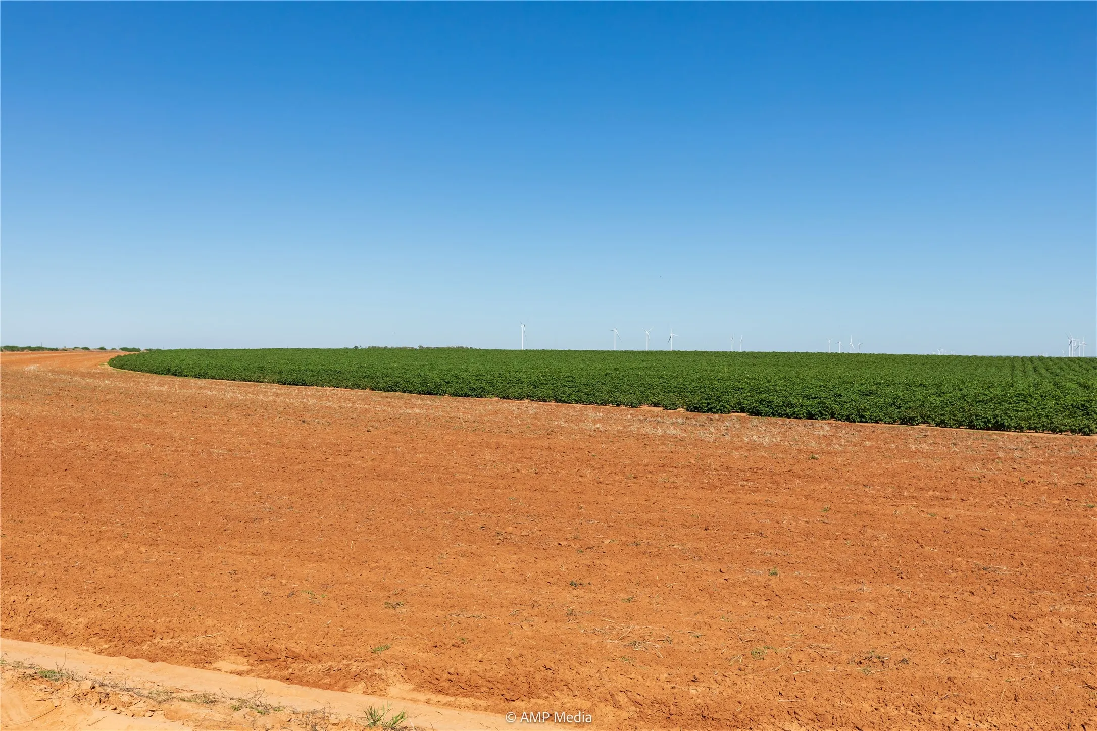 Ranch For Sale in Haskell County , TBD CR 1691, O'brien, Texas 79521, 0, 0, Garage spaces, 0 Sqft, built in 0, Price $1,246,400, mls#21009701, Real Estate Agent in O'brien, Homes For Sale in Haskell county, Homes For Sale in O'brien, Realtor in O'brien Texas, Real Estate Brokerage Independent Realty Texas, Luminita Cordes Realtor