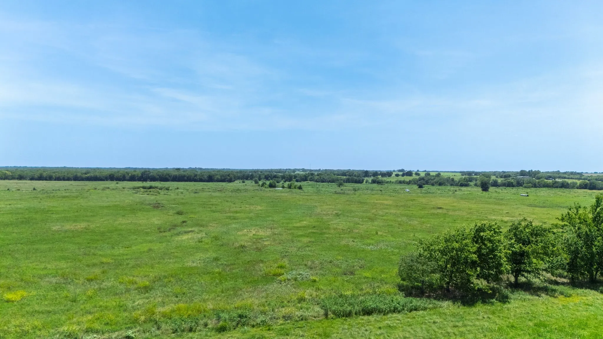 Unimproved Land For Sale in Delta County , Lot 9 County Line Road, Pecan Gap, Texas 75469, 0, 0, Garage spaces, 0 Sqft, built in 0, mls#21007388, Real Estate Agent in Pecan Gap, Homes For Sale in Delta county, Homes For Sale in Pecan Gap, Realtor in Pecan Gap Texas, Real Estate Brokerage Independent Realty Texas, Luminita Cordes Realtor