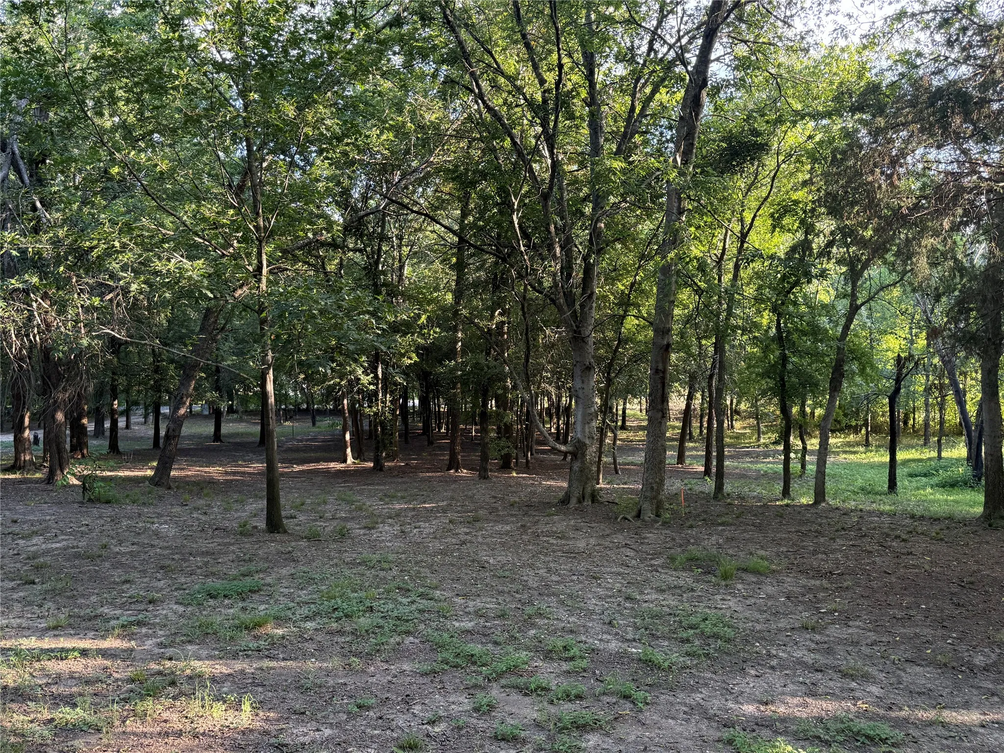 View of undeveloped land