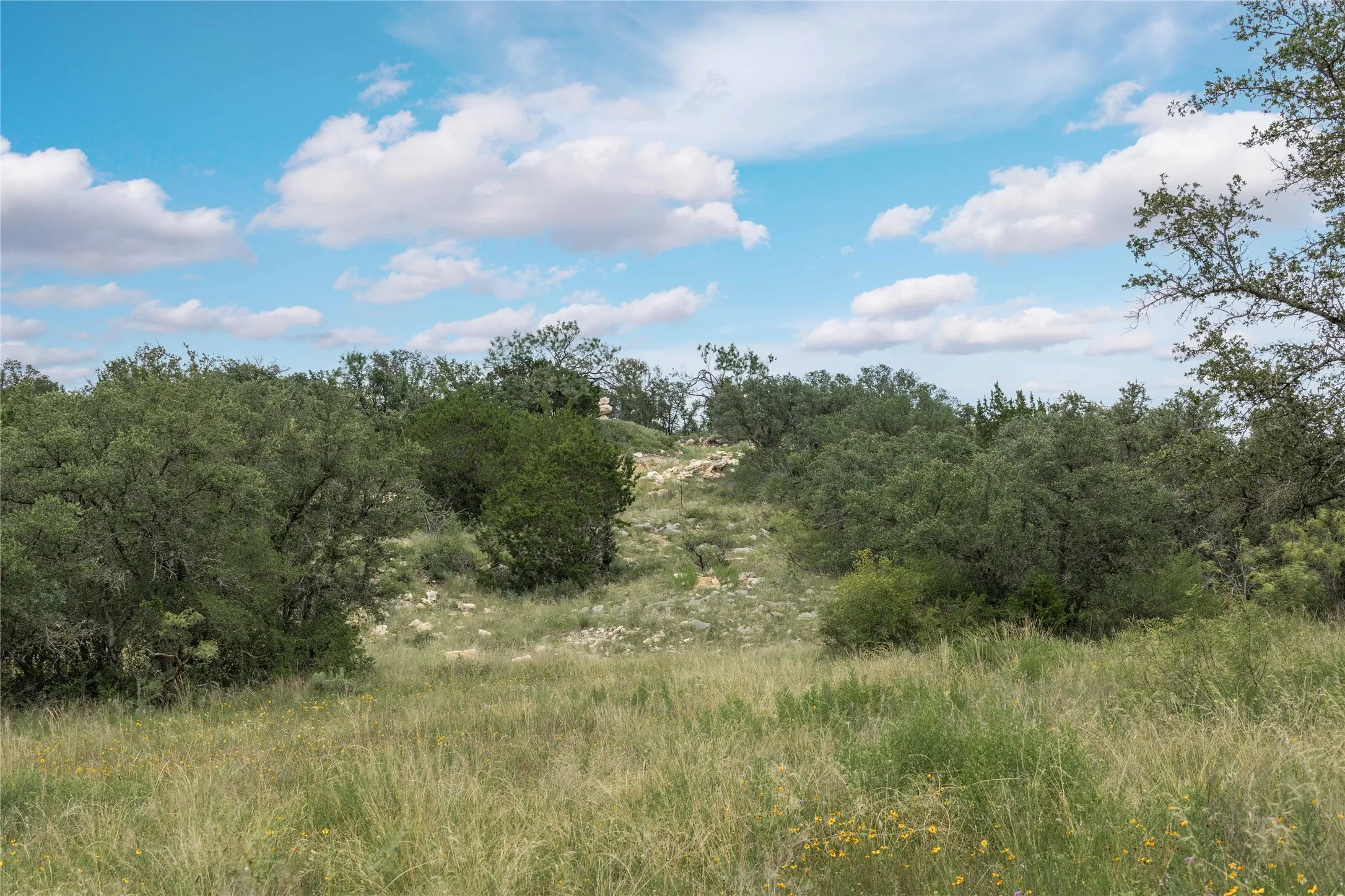 View of undeveloped land