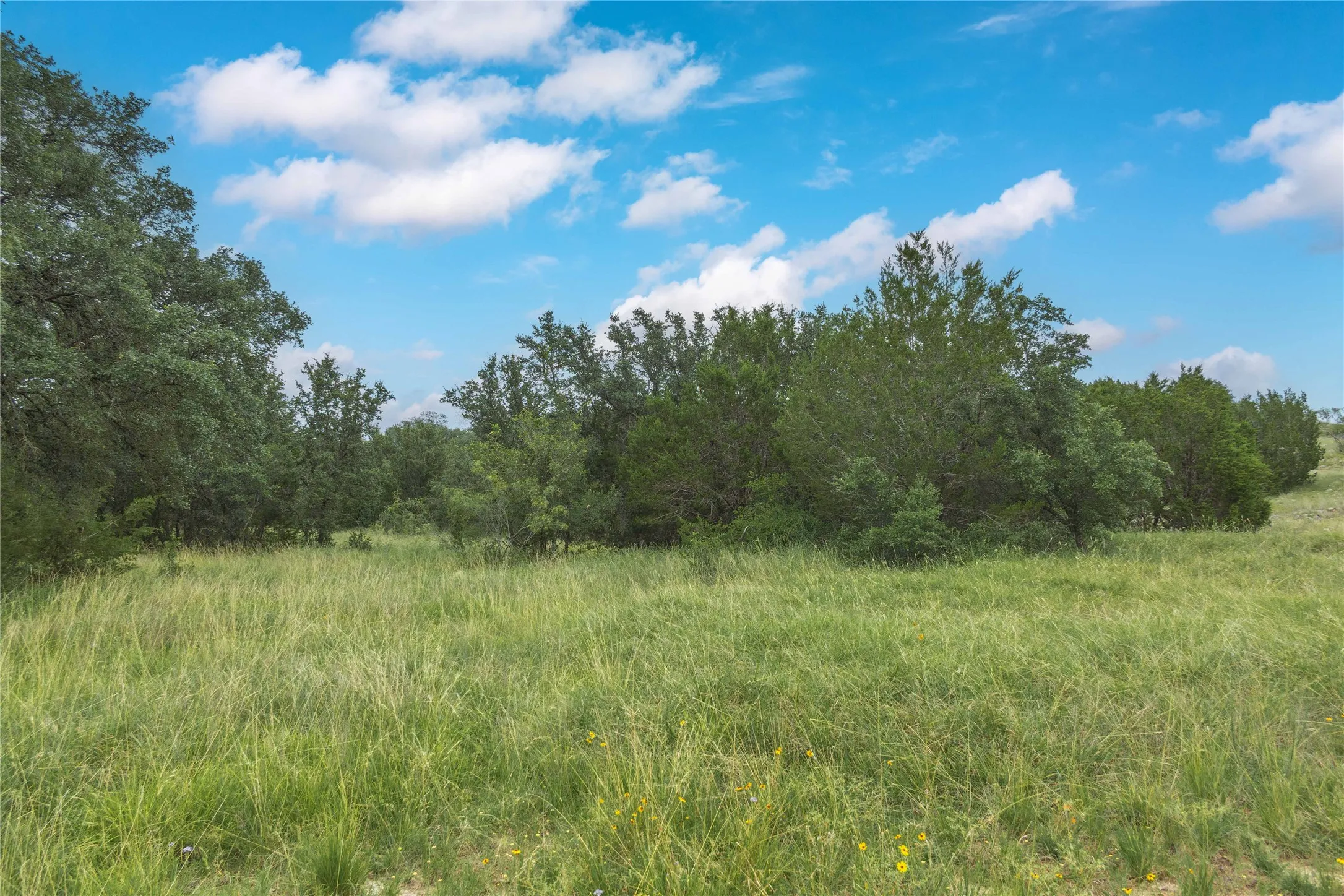 View of undeveloped land