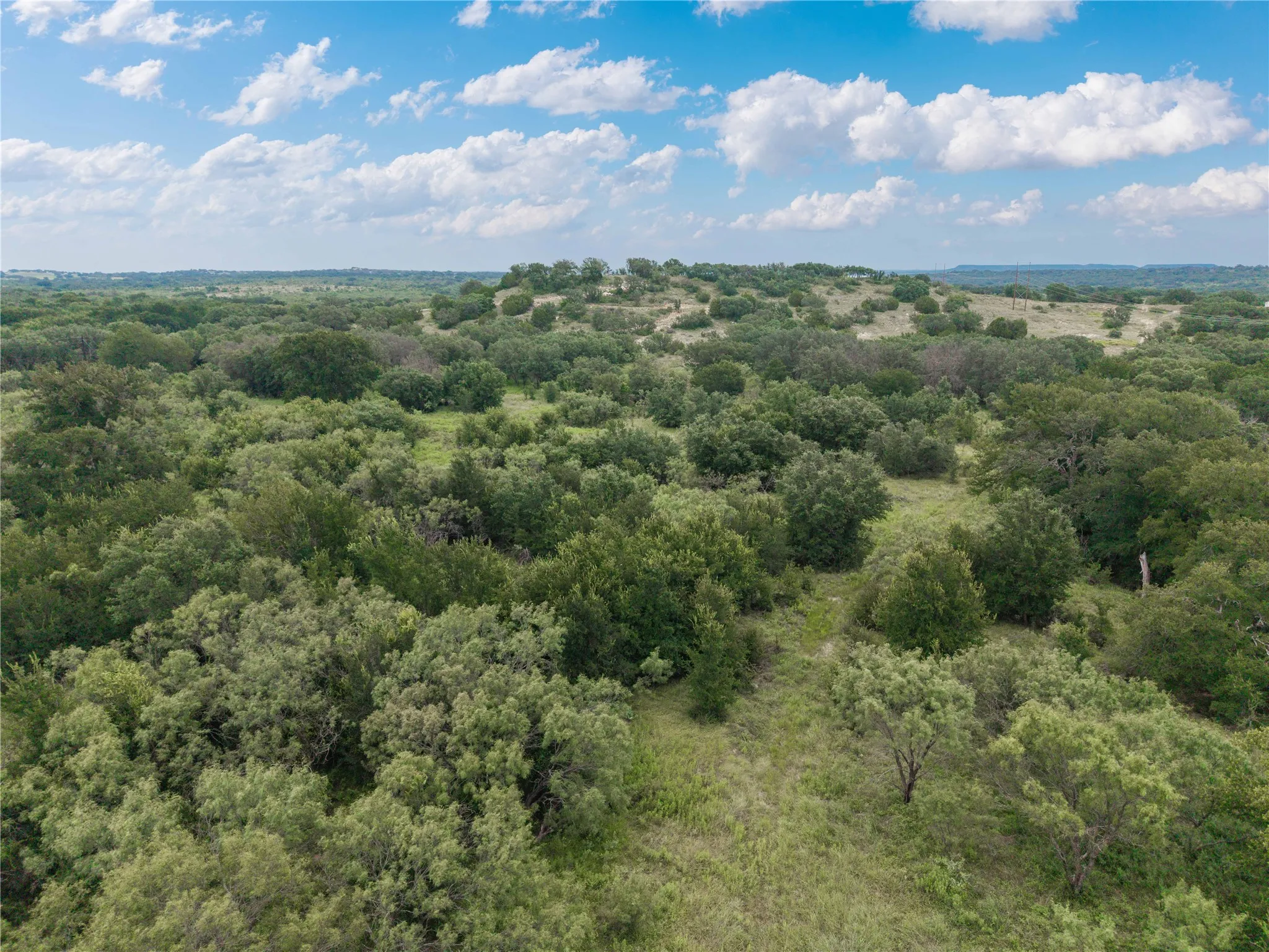 Bird's eye view of a forest