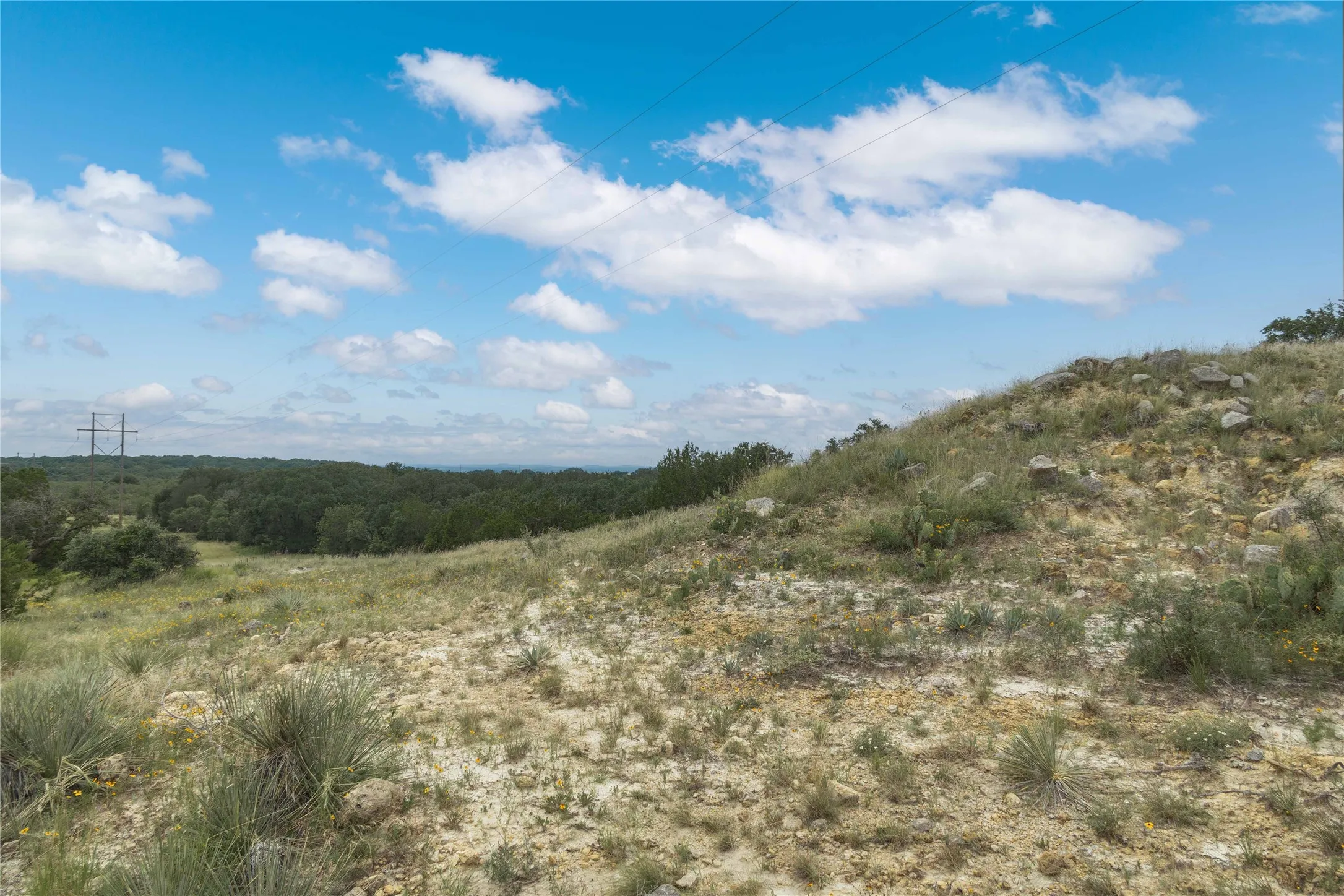 View of undeveloped land