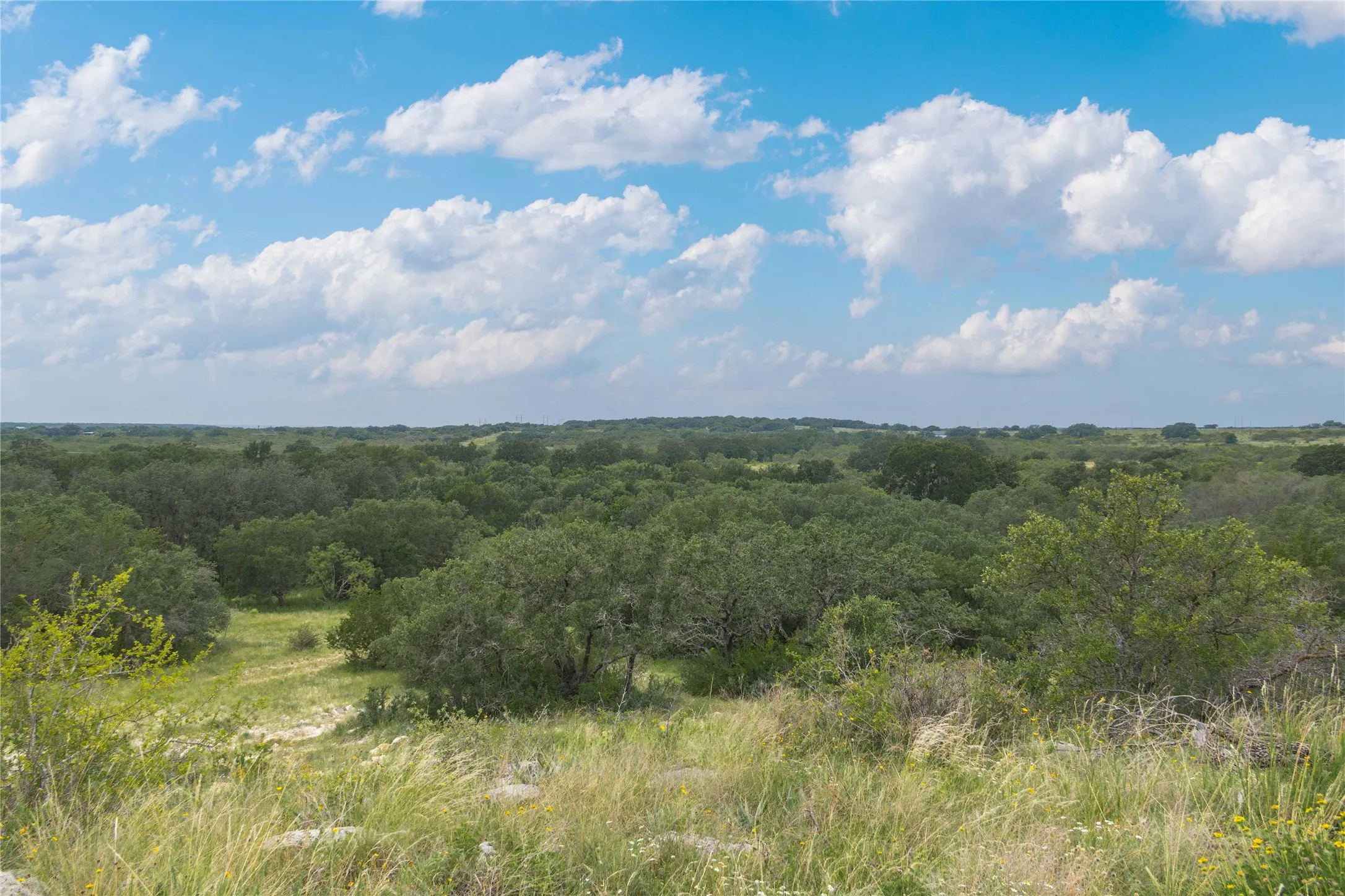 View of woods