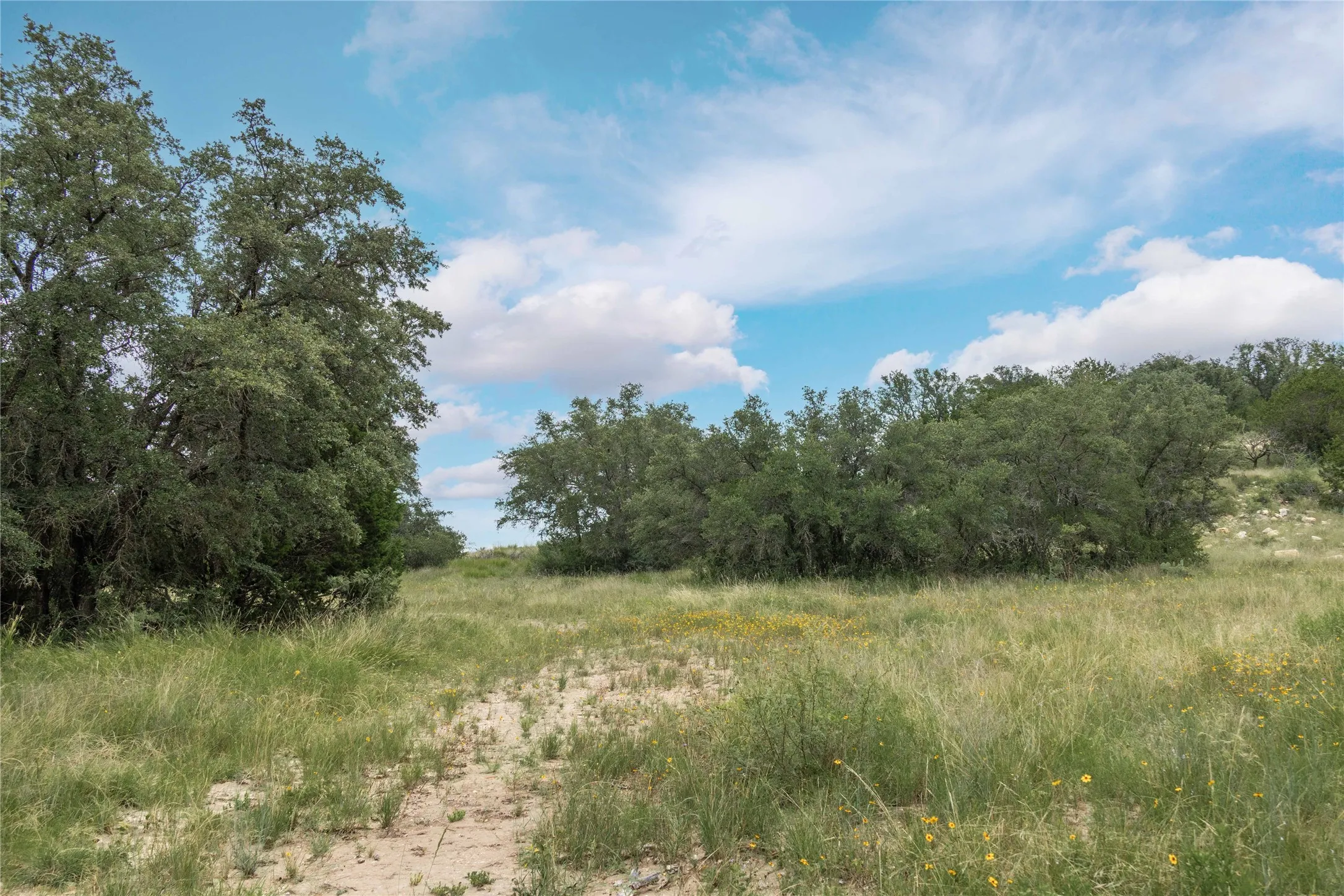 View of undeveloped land