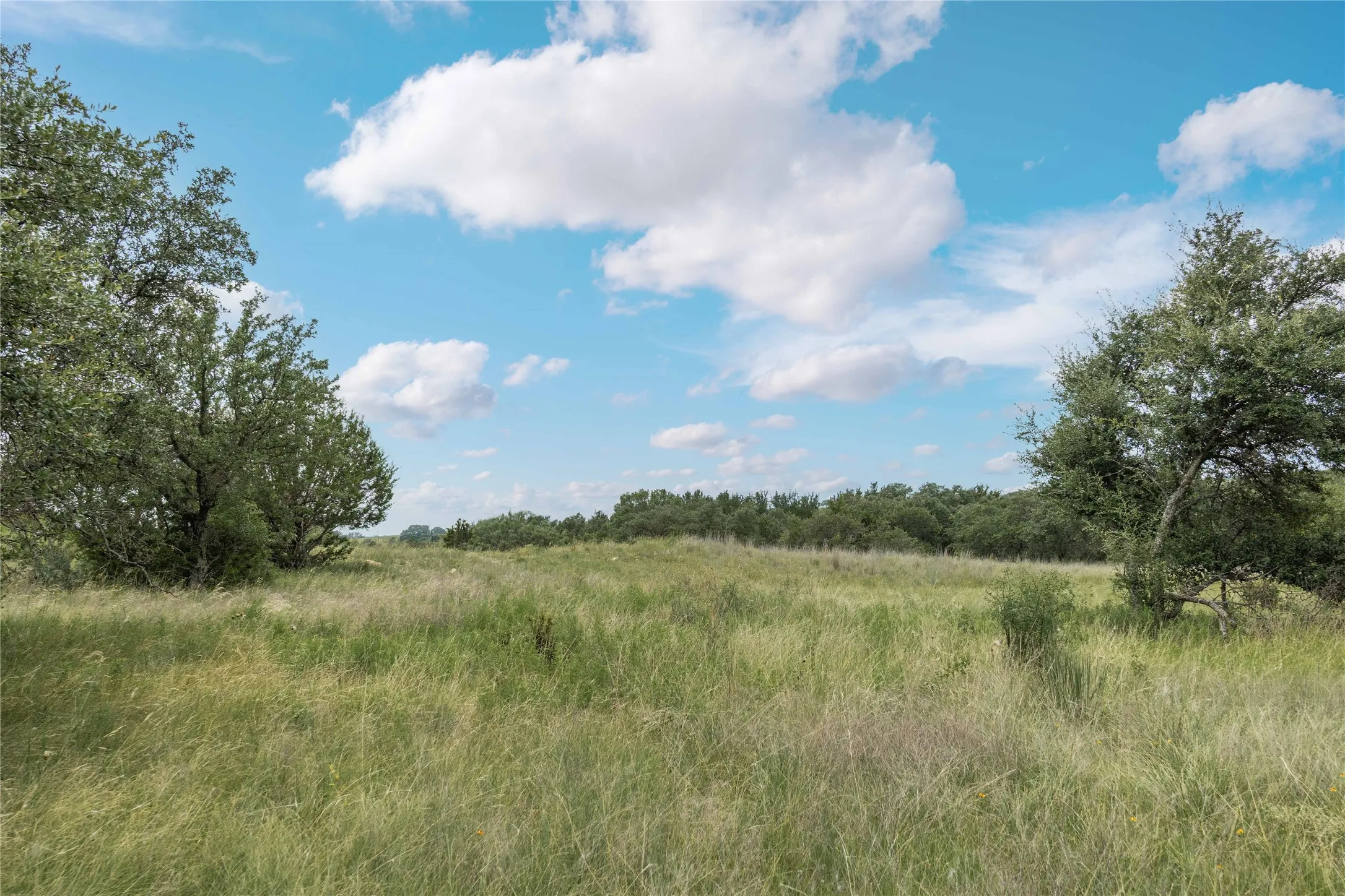 View of nature