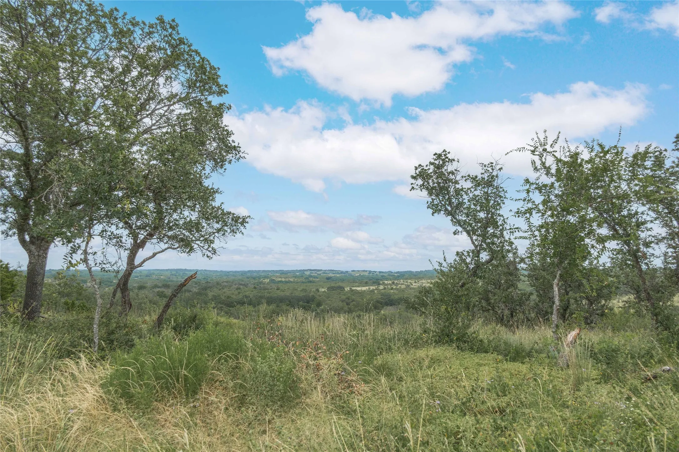 View of undeveloped land