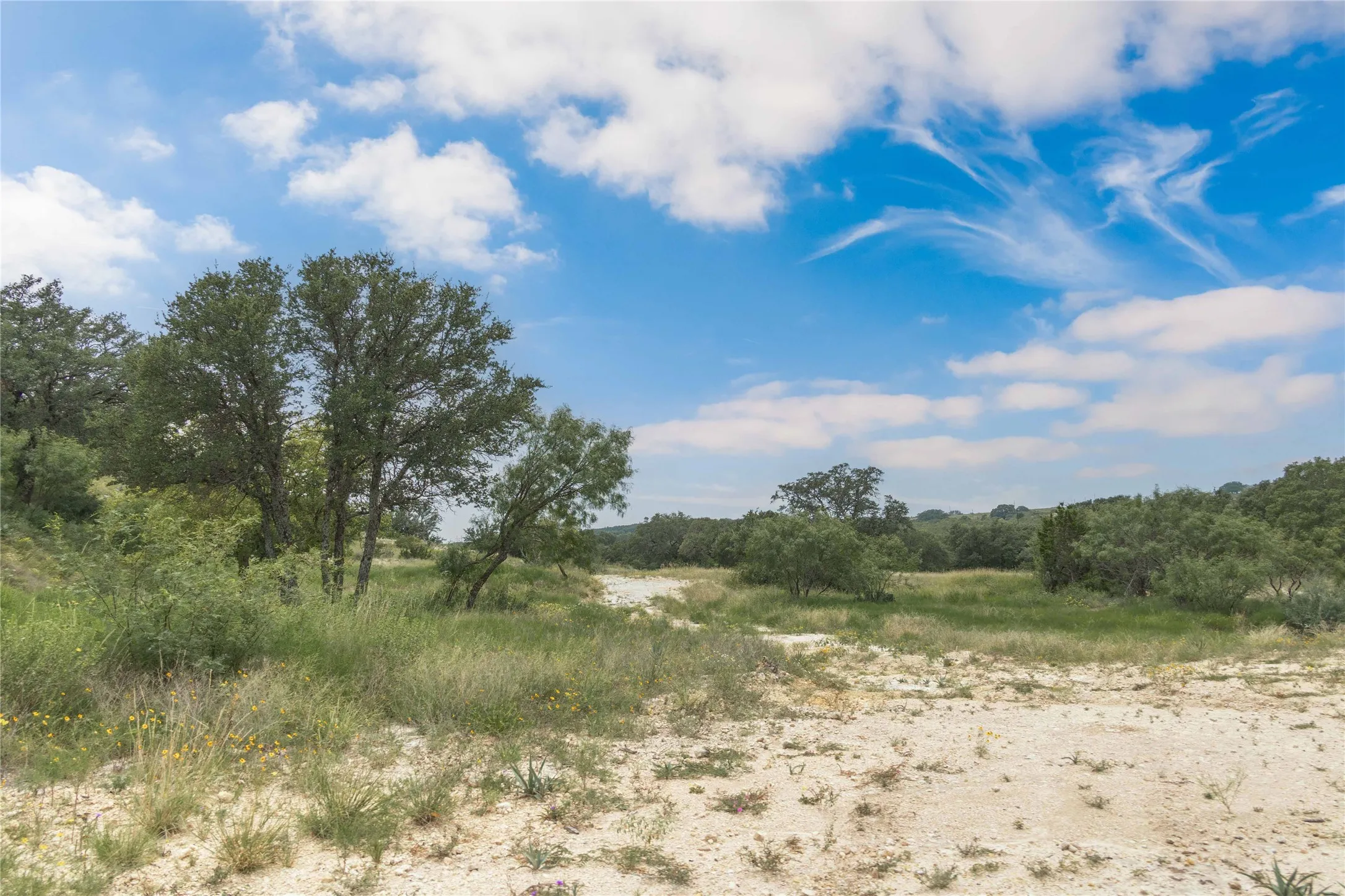 View of undeveloped land