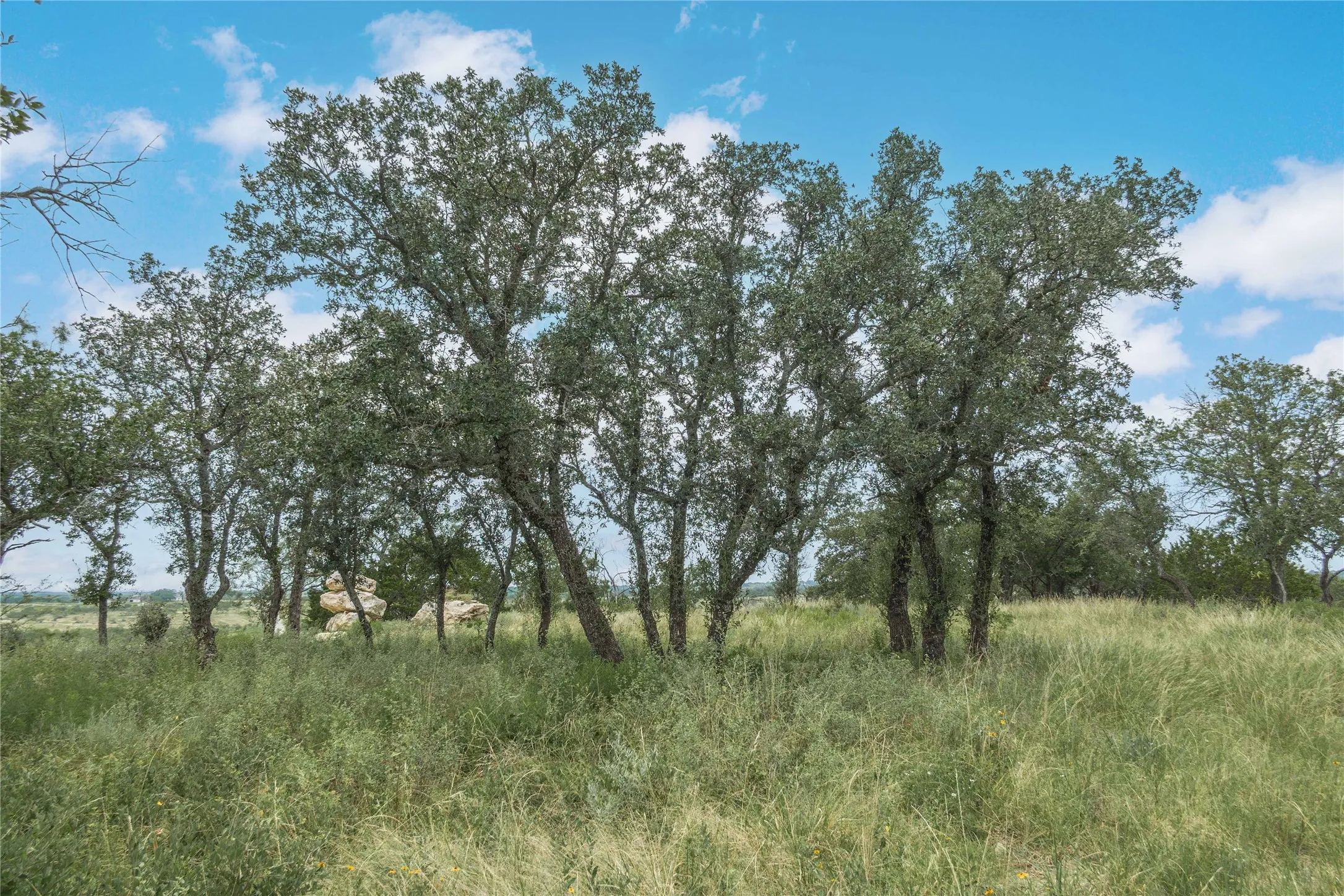 View of local wilderness featuring rural landscape
