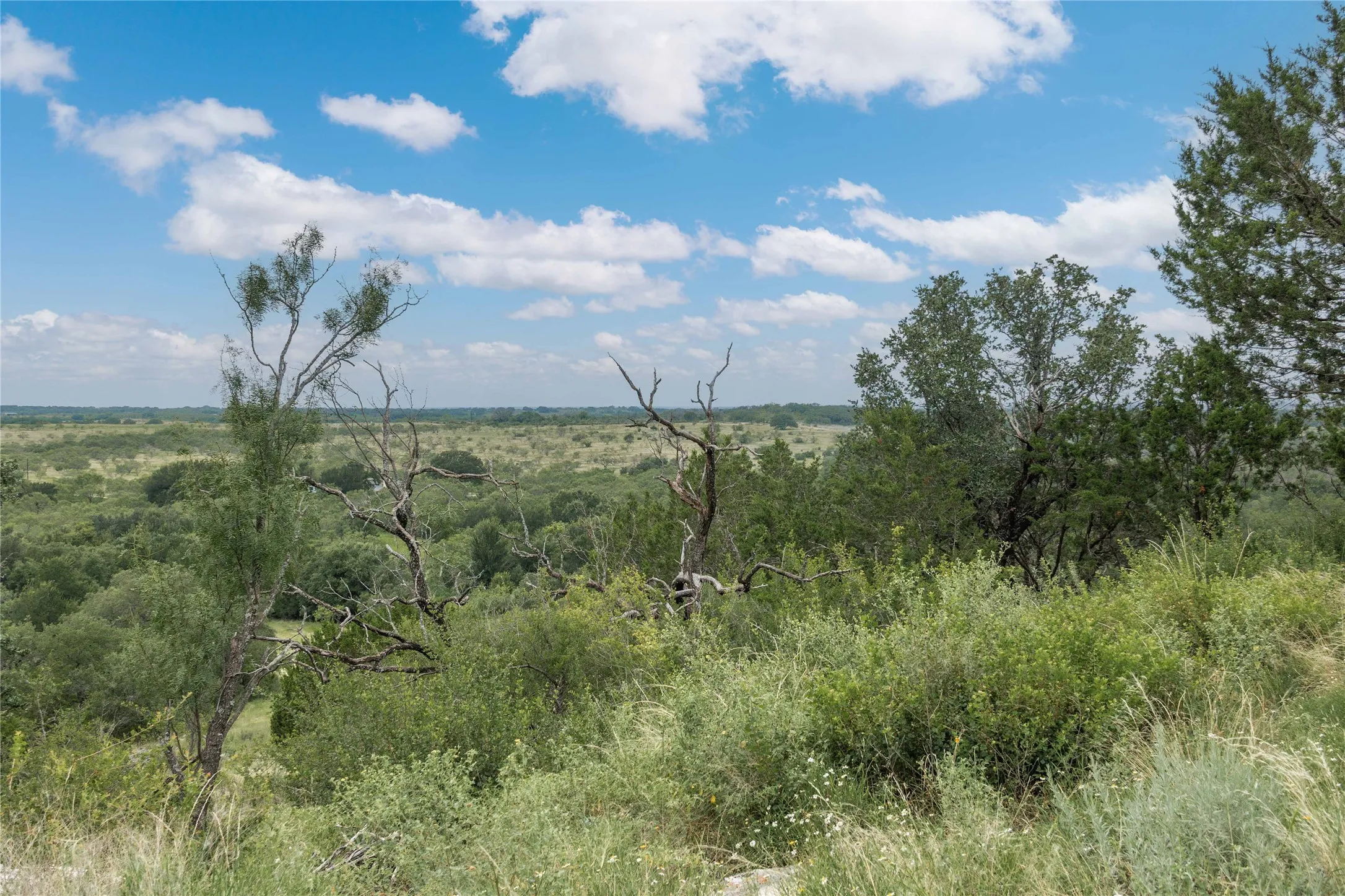 View of nature