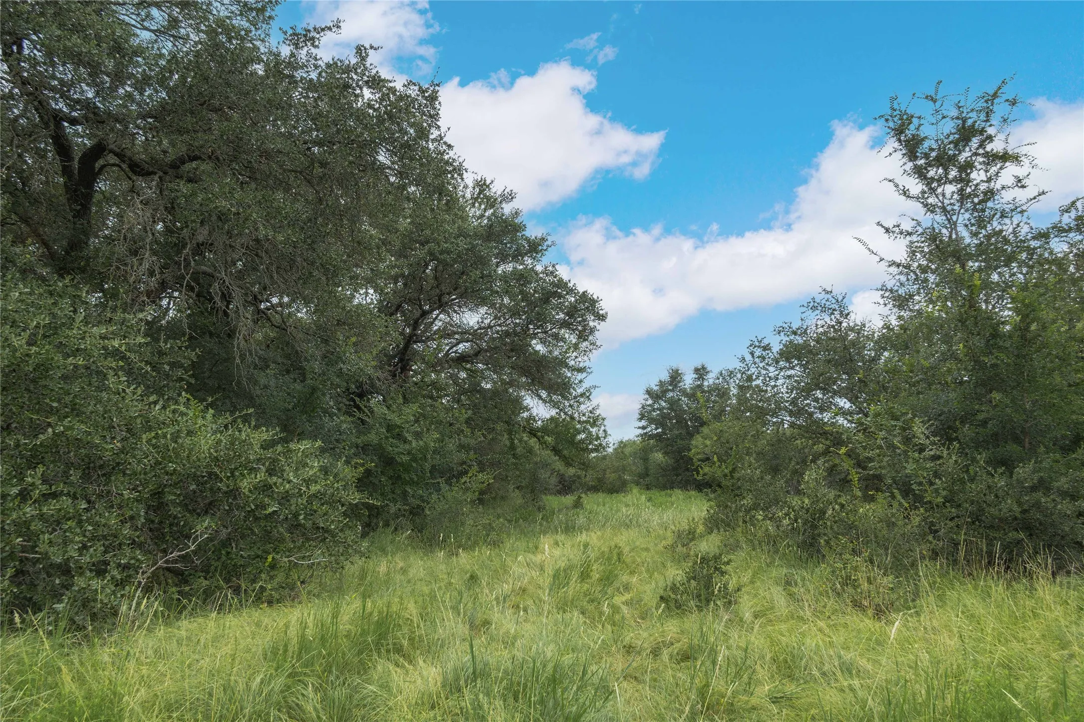 View of local wilderness