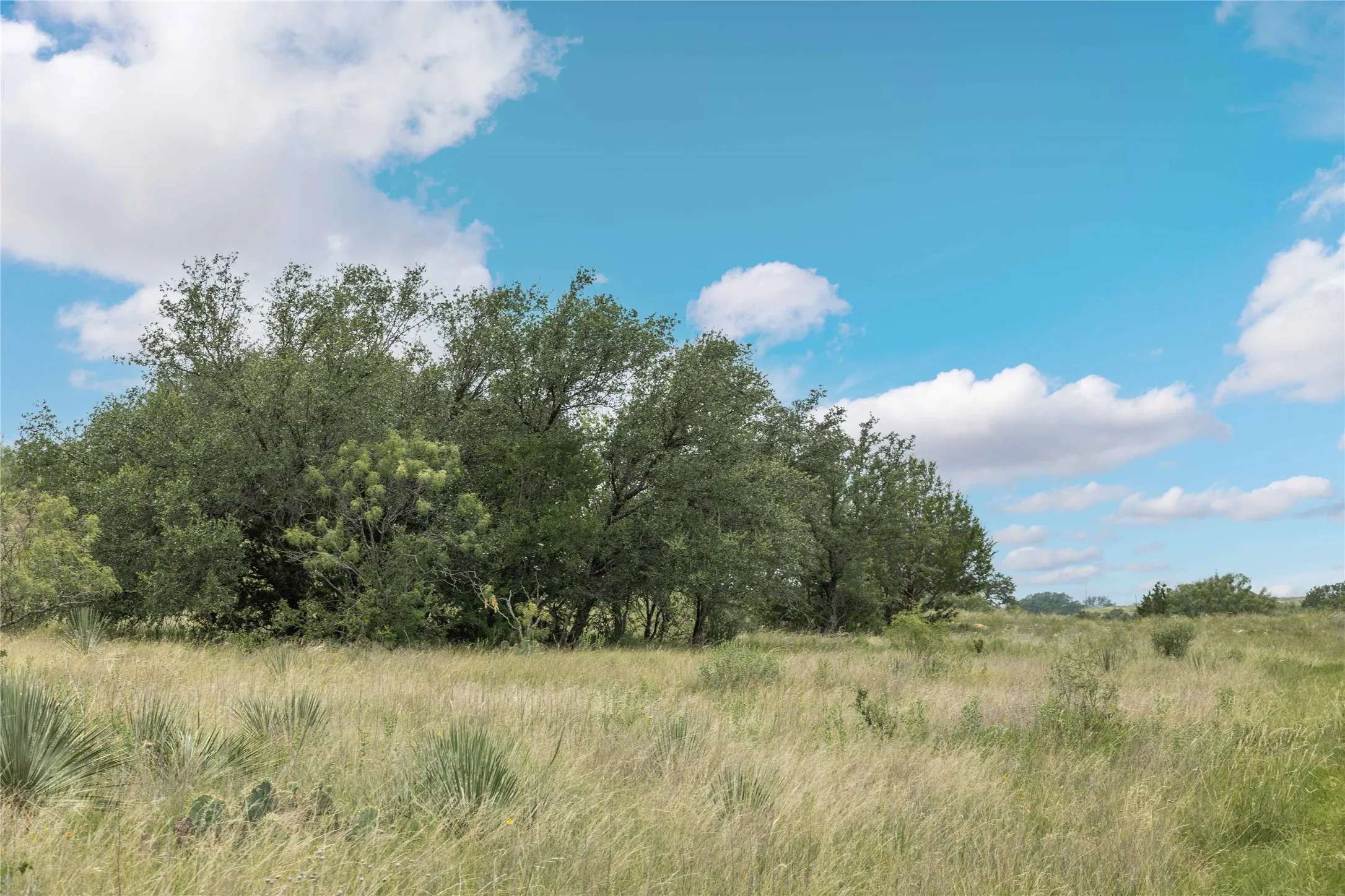 View of undeveloped land