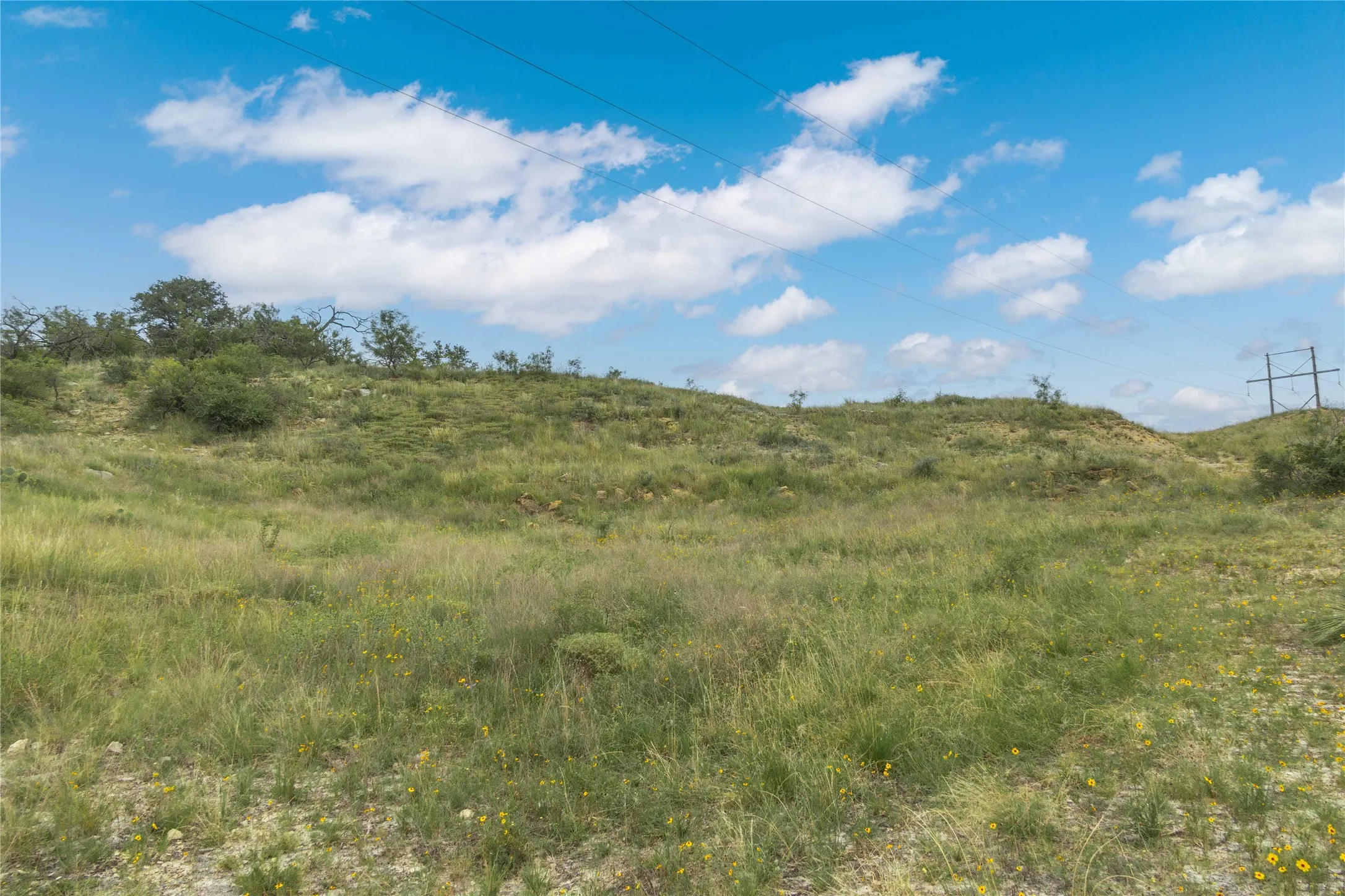 View of local wilderness featuring rural landscape
