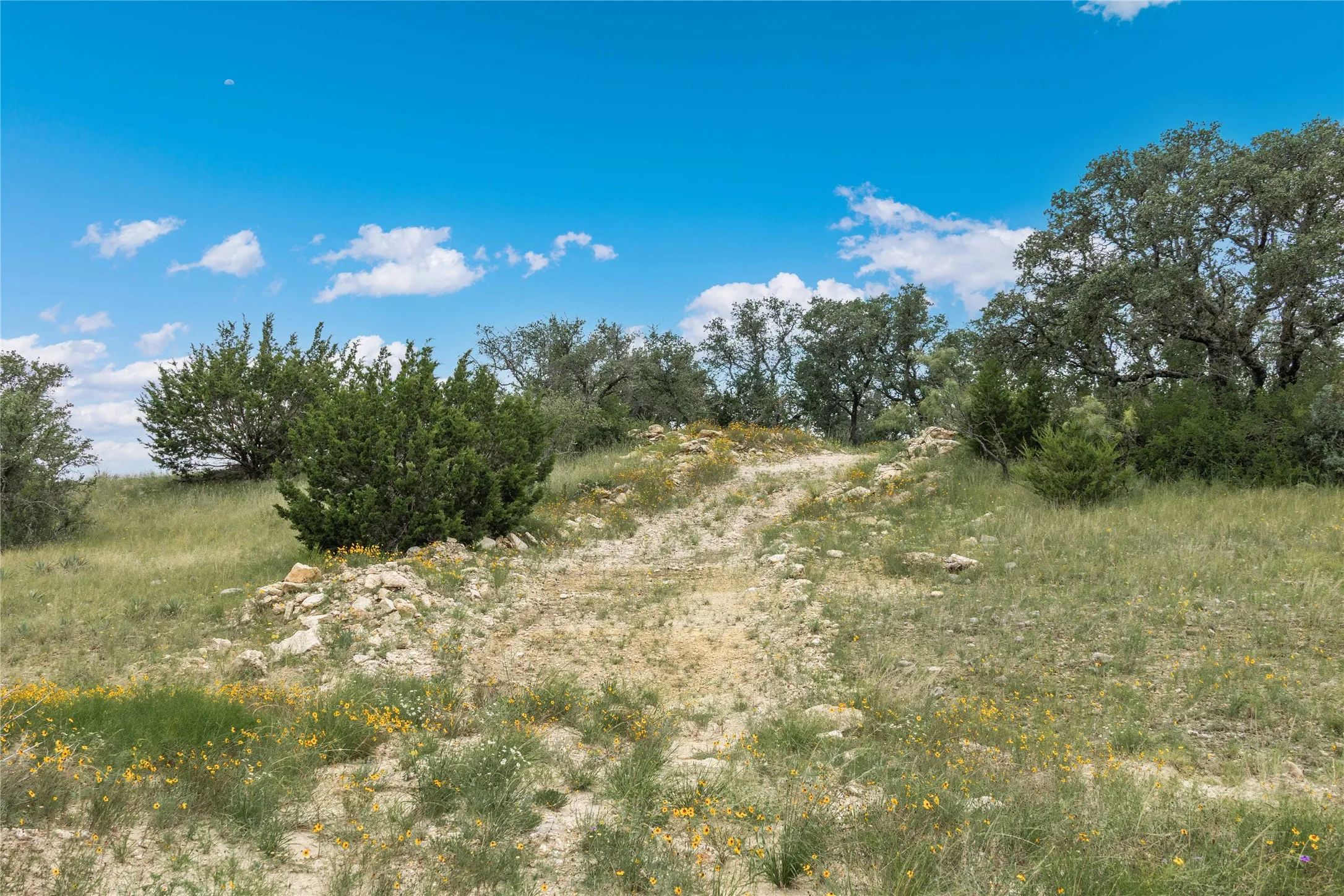 View of nature with rural landscape