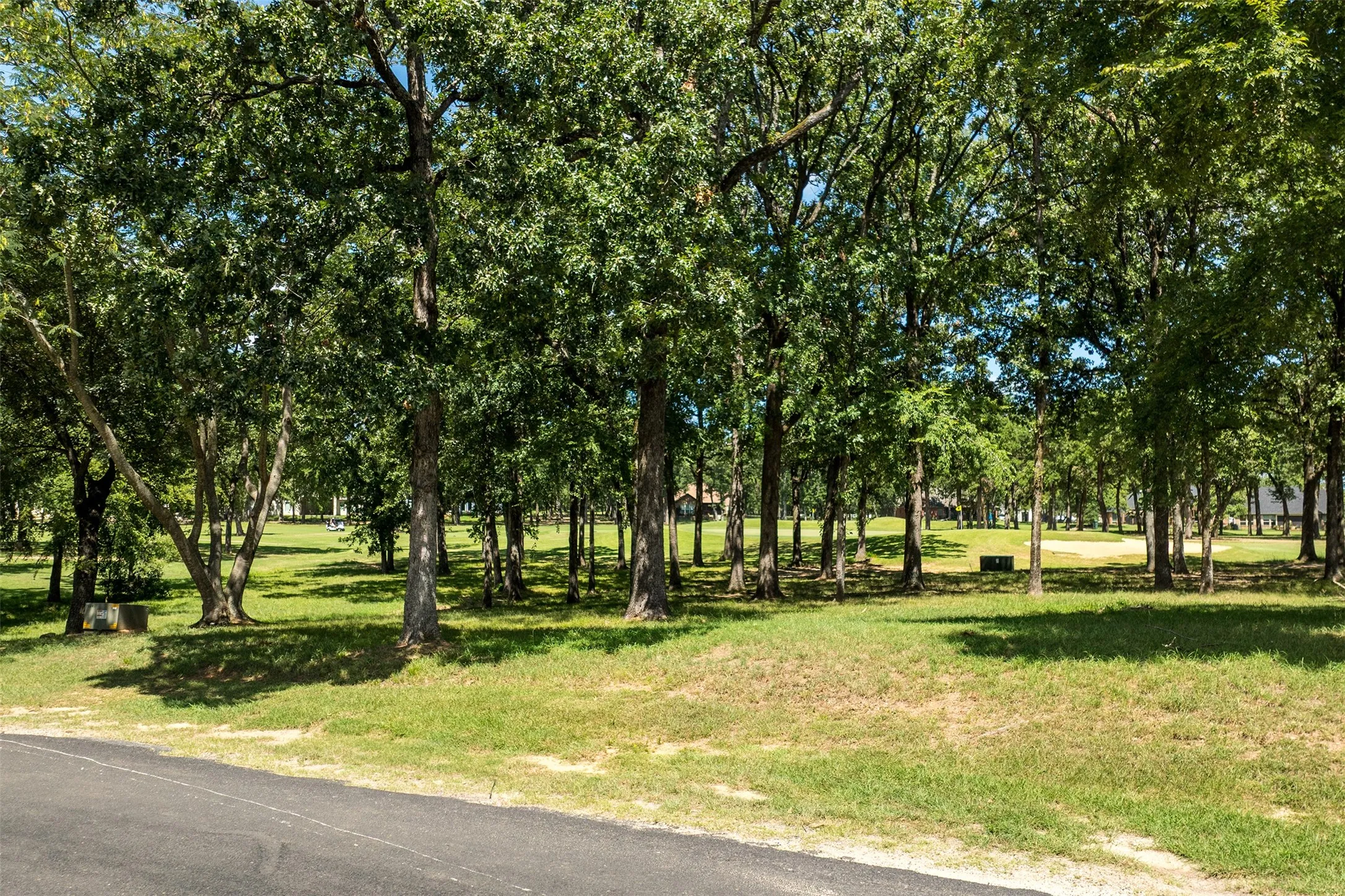 Unimproved Land For Sale in Henderson County , 371 Saint Andrews Drive, Mabank, Texas 75156, 0, 0, Garage spaces, 0 Sqft, built in 0, Price $69,000, mls#21001917, Real Estate Agent in Mabank, Homes For Sale in Henderson county, Homes For Sale in Mabank, Realtor in Mabank Texas, Real Estate Brokerage Independent Realty Texas, Luminita Cordes Realtor