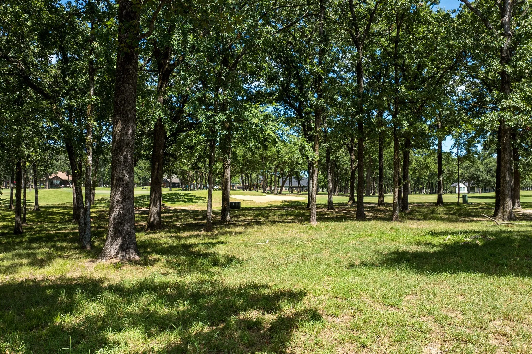 Unimproved Land For Sale in Henderson County , 371 Saint Andrews Drive, Mabank, Texas 75156, 0, 0, Garage spaces, 0 Sqft, built in 0, Price $69,000, mls#21001917, Real Estate Agent in Mabank, Homes For Sale in Henderson county, Homes For Sale in Mabank, Realtor in Mabank Texas, Real Estate Brokerage Independent Realty Texas, Luminita Cordes Realtor
