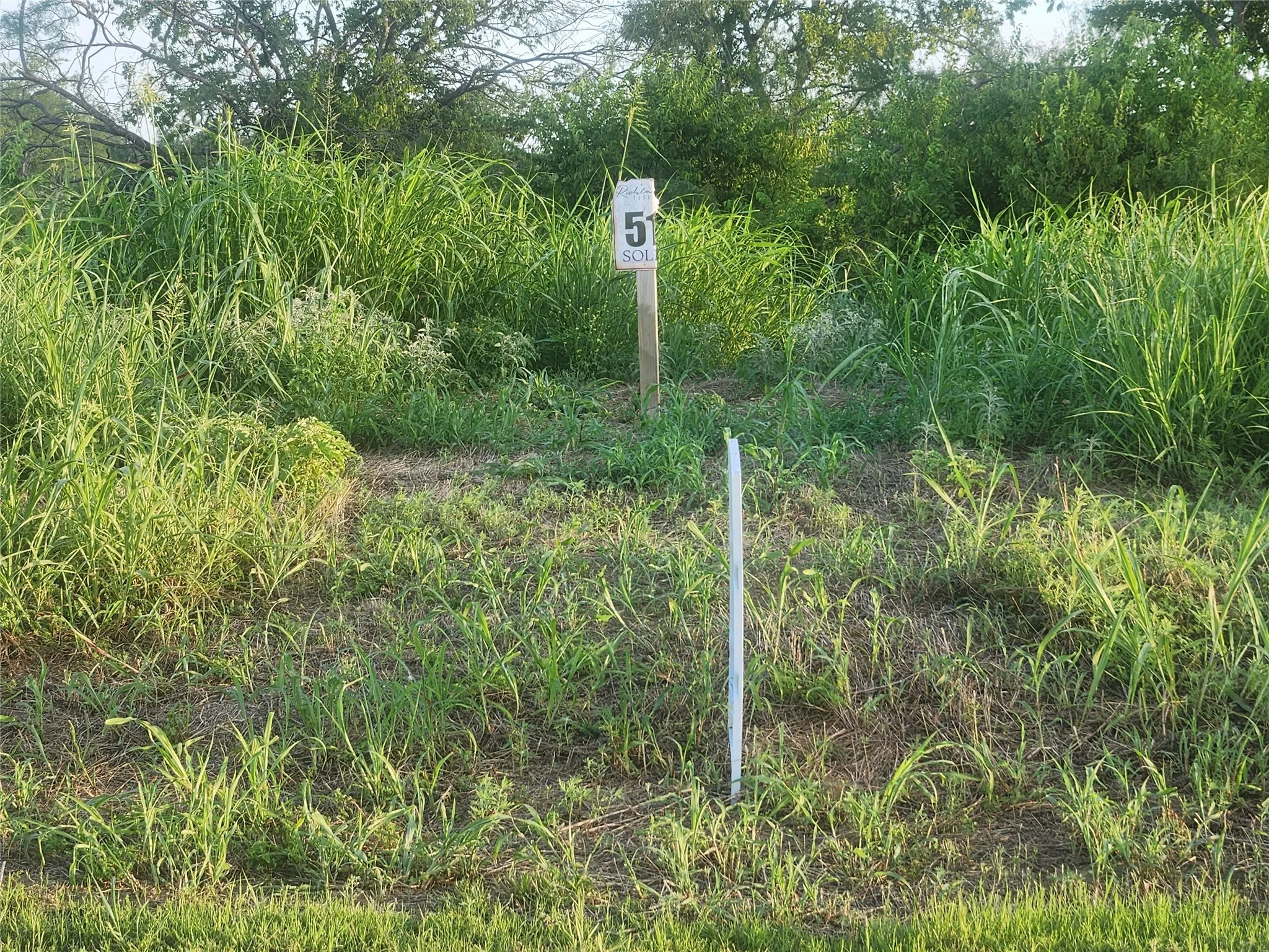 View of Lot #51 from North
