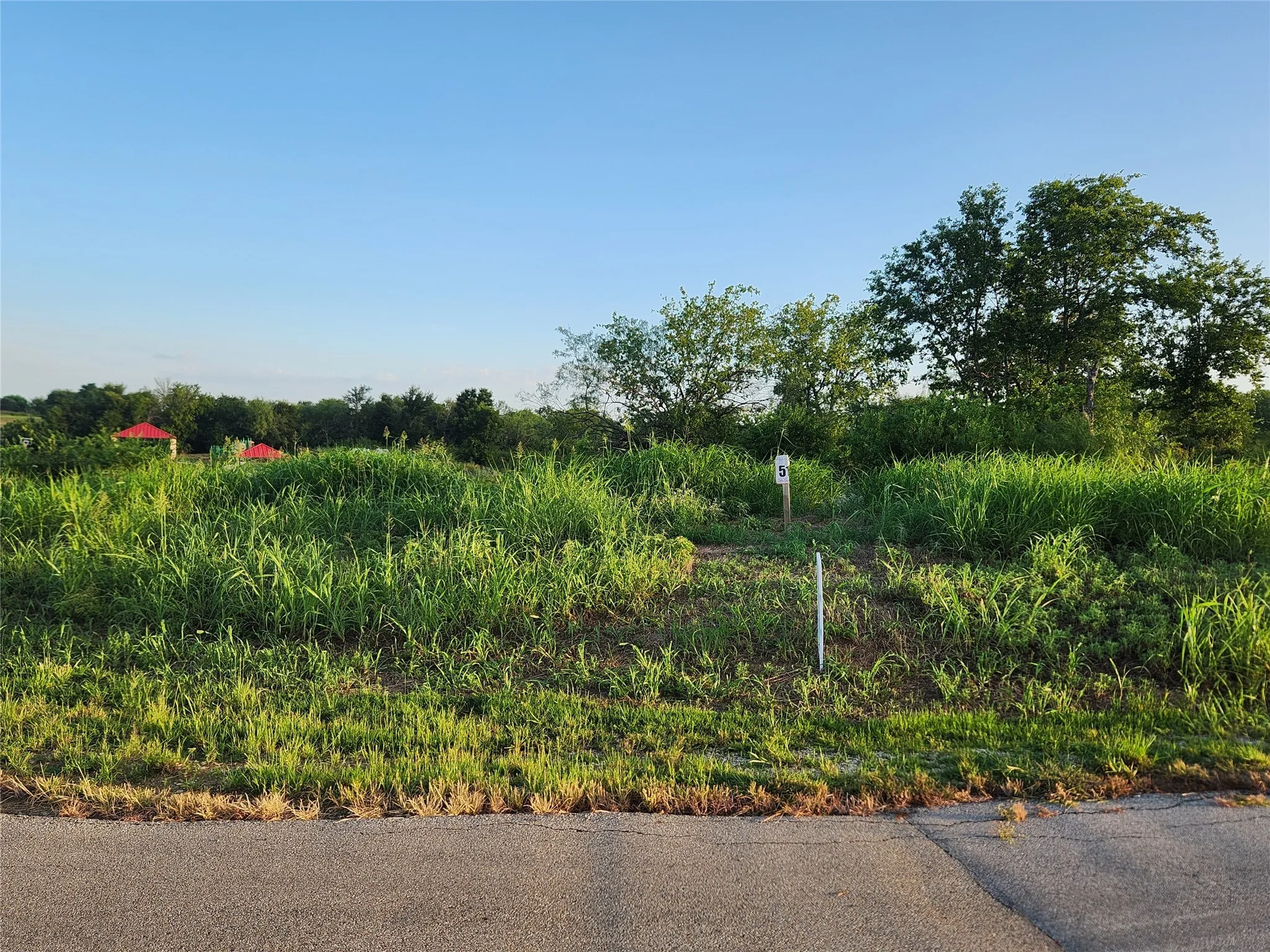 View of Lot #51 from North