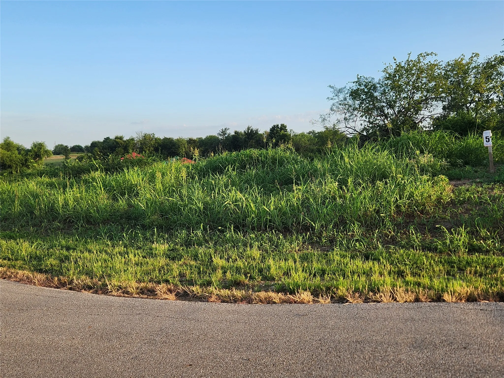 View of Lot #51 from North