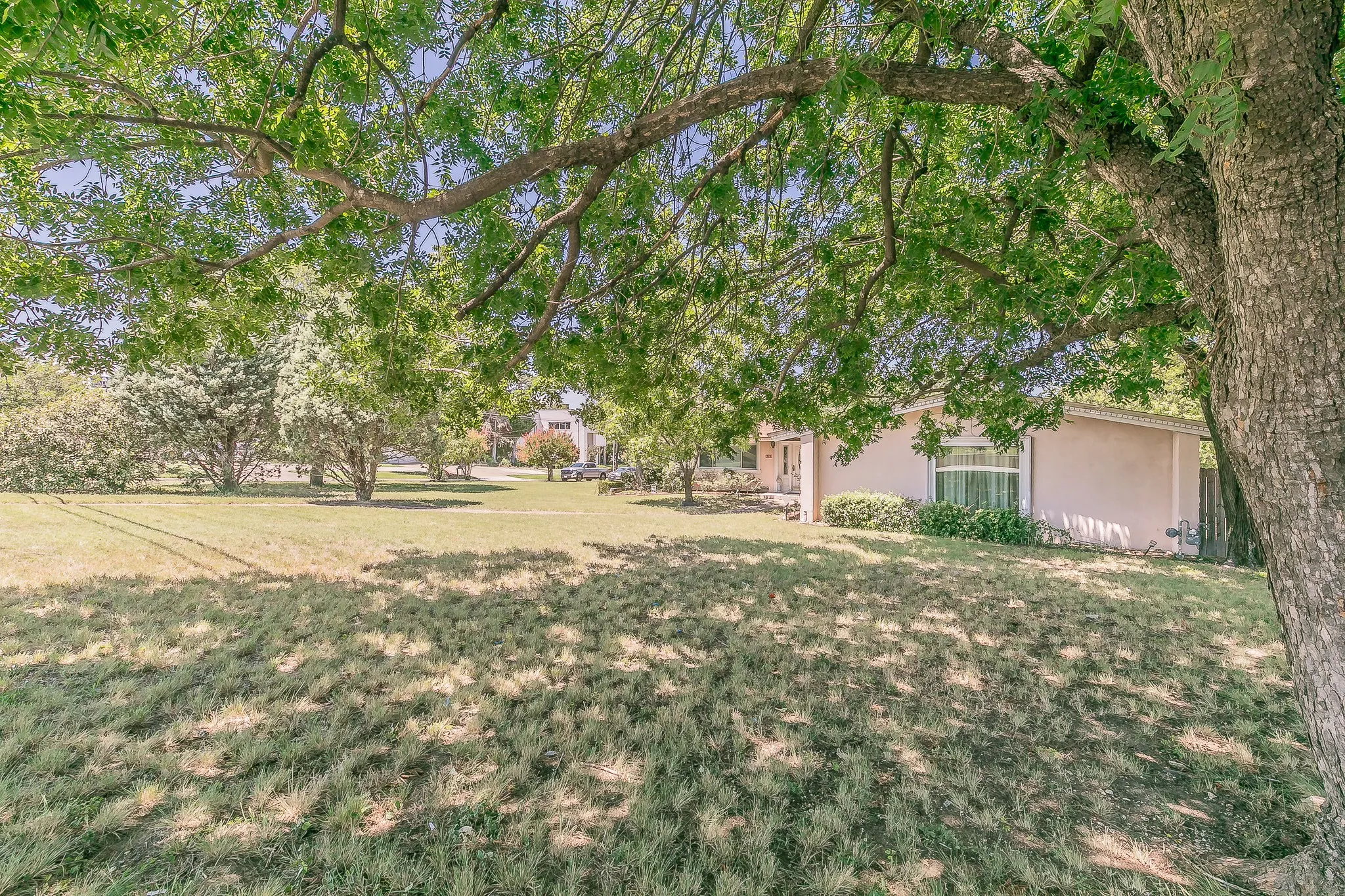 View of grassy yard