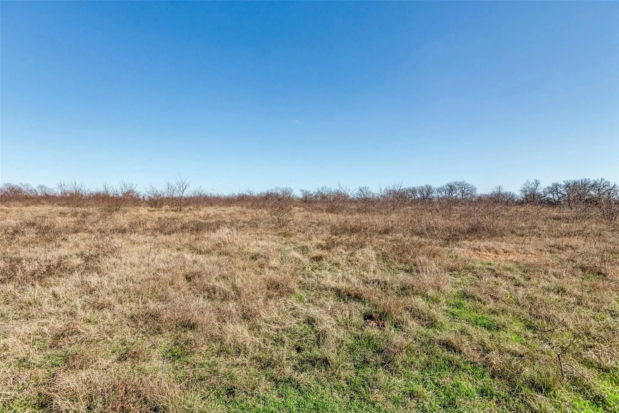 Improved Land For Sale in Collin County , 8069 County Road 623, Farmersville, Texas 75442, 0, 0, Garage spaces, 0 Sqft, built in 0, Price $1,575,000, mls#20998111, Real Estate Agent in Farmersville, Homes For Sale in Collin county, Homes For Sale in Farmersville, Realtor in Farmersville Texas, Real Estate Brokerage Independent Realty Texas, Luminita Cordes Realtor