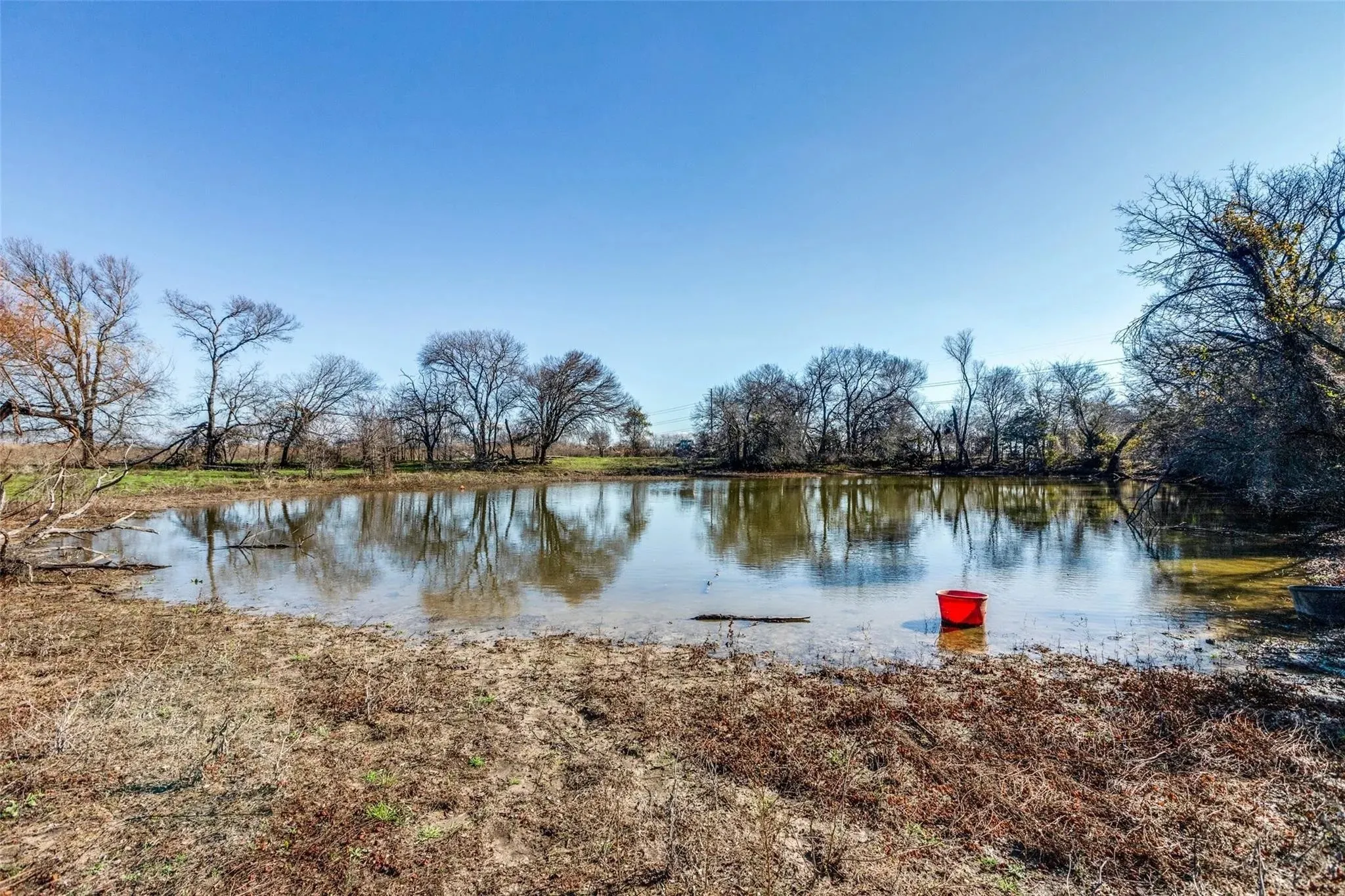 Improved Land For Sale in Collin County , 8069 County Road 623, Farmersville, Texas 75442, 0, 0, Garage spaces, 0 Sqft, built in 0, Price $1,575,000, mls#20998111, Real Estate Agent in Farmersville, Homes For Sale in Collin county, Homes For Sale in Farmersville, Realtor in Farmersville Texas, Real Estate Brokerage Independent Realty Texas, Luminita Cordes Realtor