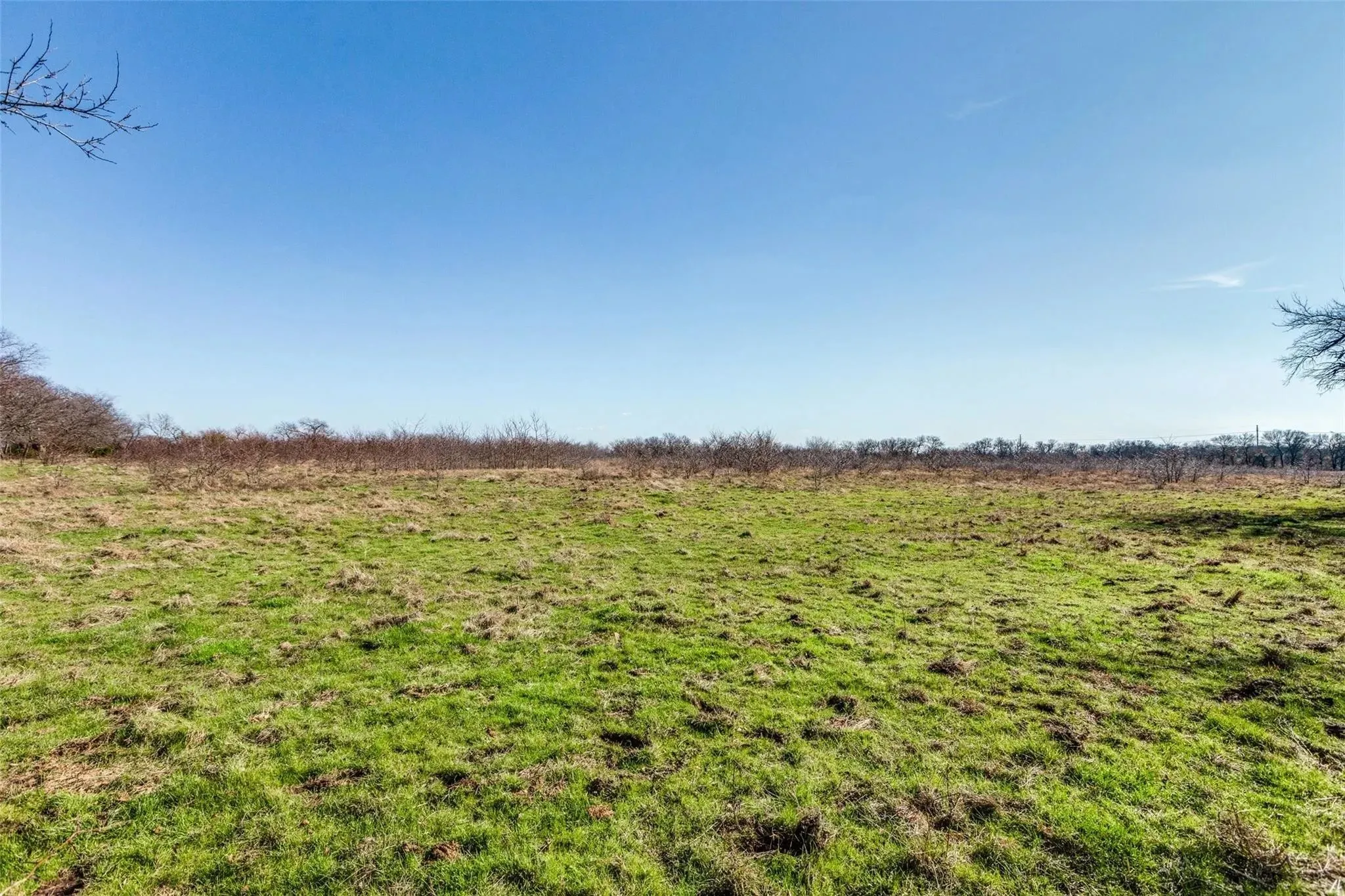 Improved Land For Sale in Collin County , 8069 County Road 623, Farmersville, Texas 75442, 0, 0, Garage spaces, 0 Sqft, built in 0, Price $1,575,000, mls#20998111, Real Estate Agent in Farmersville, Homes For Sale in Collin county, Homes For Sale in Farmersville, Realtor in Farmersville Texas, Real Estate Brokerage Independent Realty Texas, Luminita Cordes Realtor