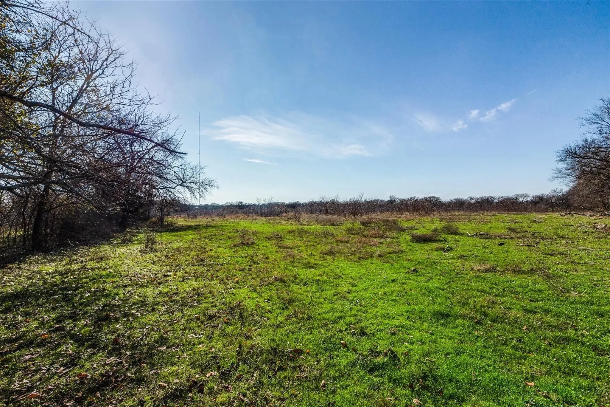 Improved Land For Sale in Collin County , 8069 County Road 623, Farmersville, Texas 75442, 0, 0, Garage spaces, 0 Sqft, built in 0, Price $1,575,000, mls#20998111, Real Estate Agent in Farmersville, Homes For Sale in Collin county, Homes For Sale in Farmersville, Realtor in Farmersville Texas, Real Estate Brokerage Independent Realty Texas, Luminita Cordes Realtor