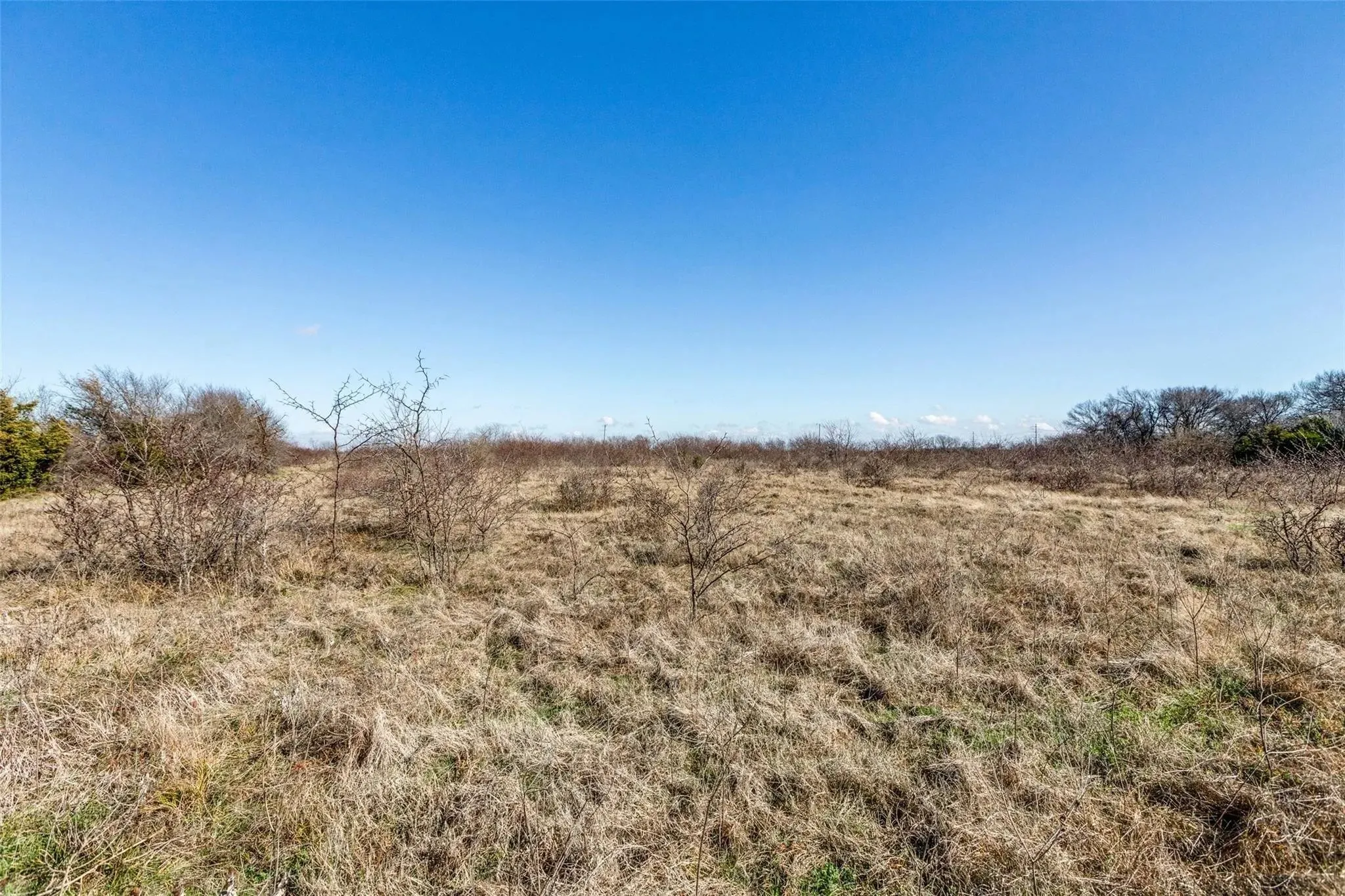 Improved Land For Sale in Collin County , 8069 County Road 623, Farmersville, Texas 75442, 0, 0, Garage spaces, 0 Sqft, built in 0, Price $1,575,000, mls#20998111, Real Estate Agent in Farmersville, Homes For Sale in Collin county, Homes For Sale in Farmersville, Realtor in Farmersville Texas, Real Estate Brokerage Independent Realty Texas, Luminita Cordes Realtor