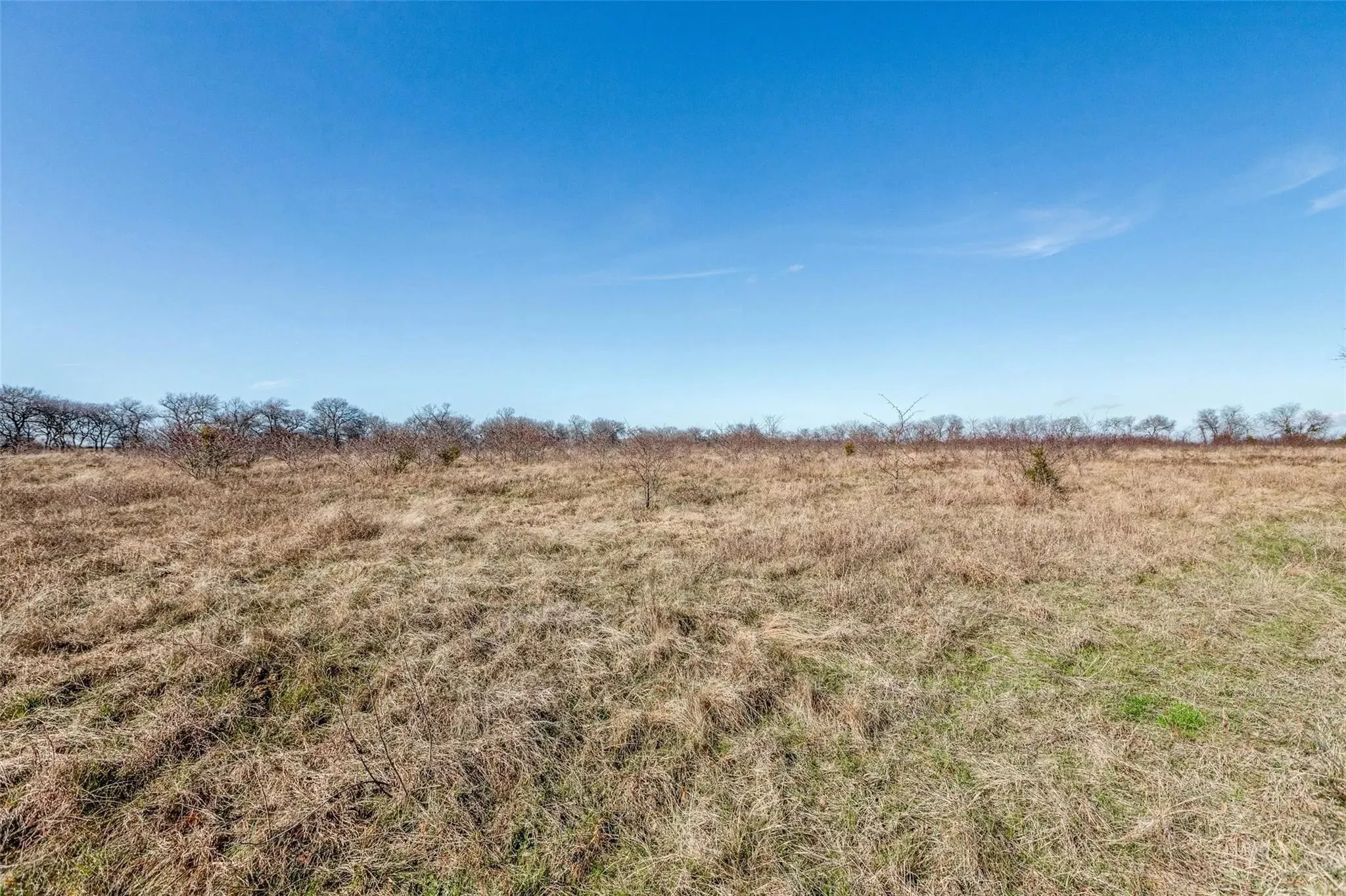 Improved Land For Sale in Collin County , 8069 County Road 623, Farmersville, Texas 75442, 0, 0, Garage spaces, 0 Sqft, built in 0, Price $1,575,000, mls#20998111, Real Estate Agent in Farmersville, Homes For Sale in Collin county, Homes For Sale in Farmersville, Realtor in Farmersville Texas, Real Estate Brokerage Independent Realty Texas, Luminita Cordes Realtor