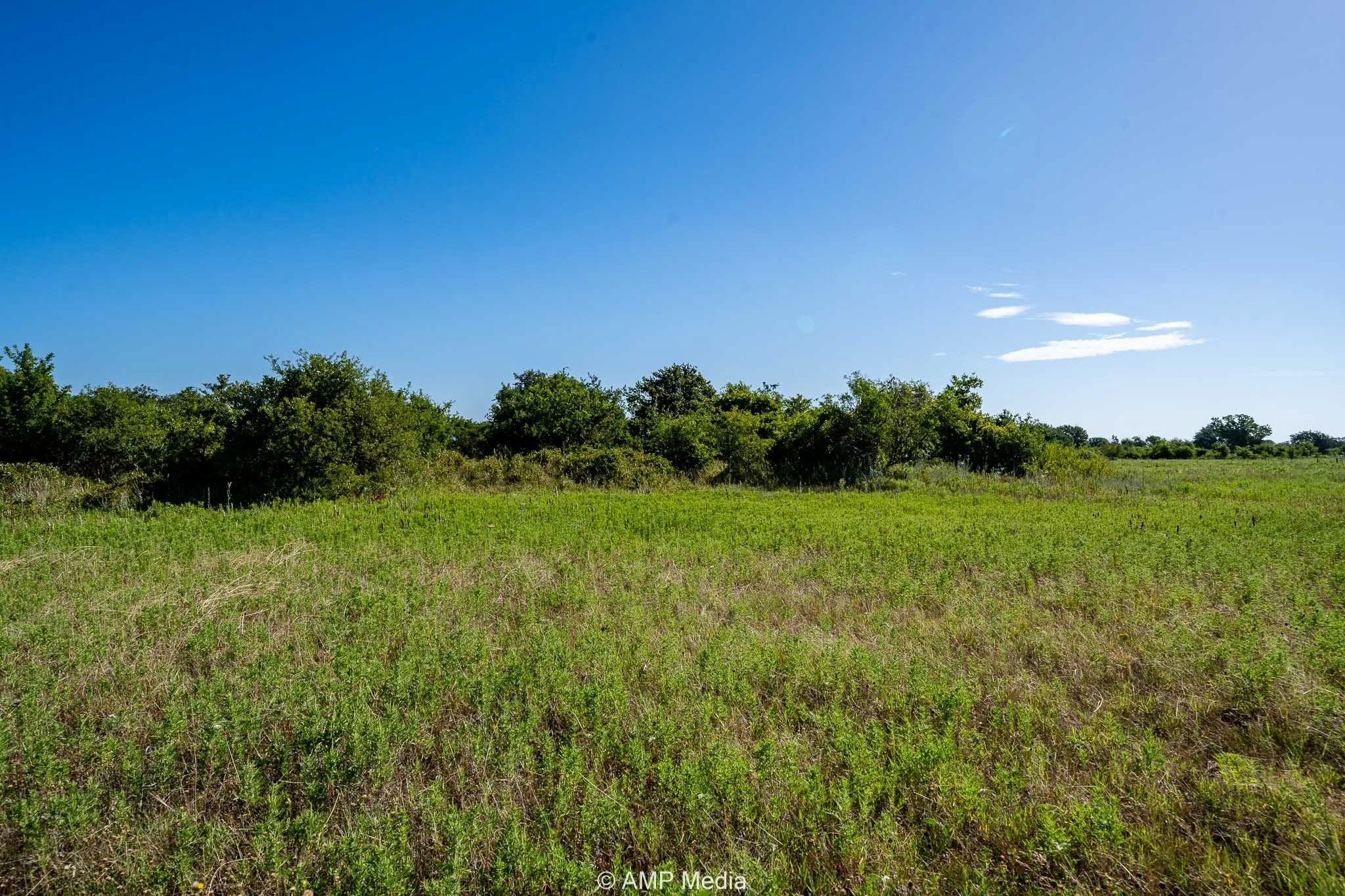 View of nature with rural landscape