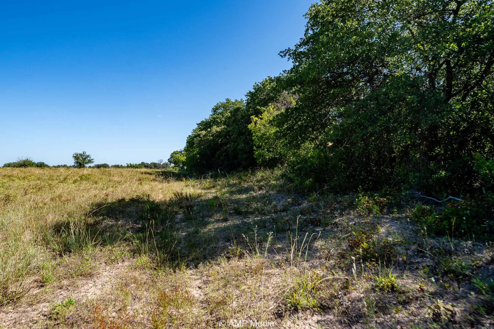 View of undeveloped land