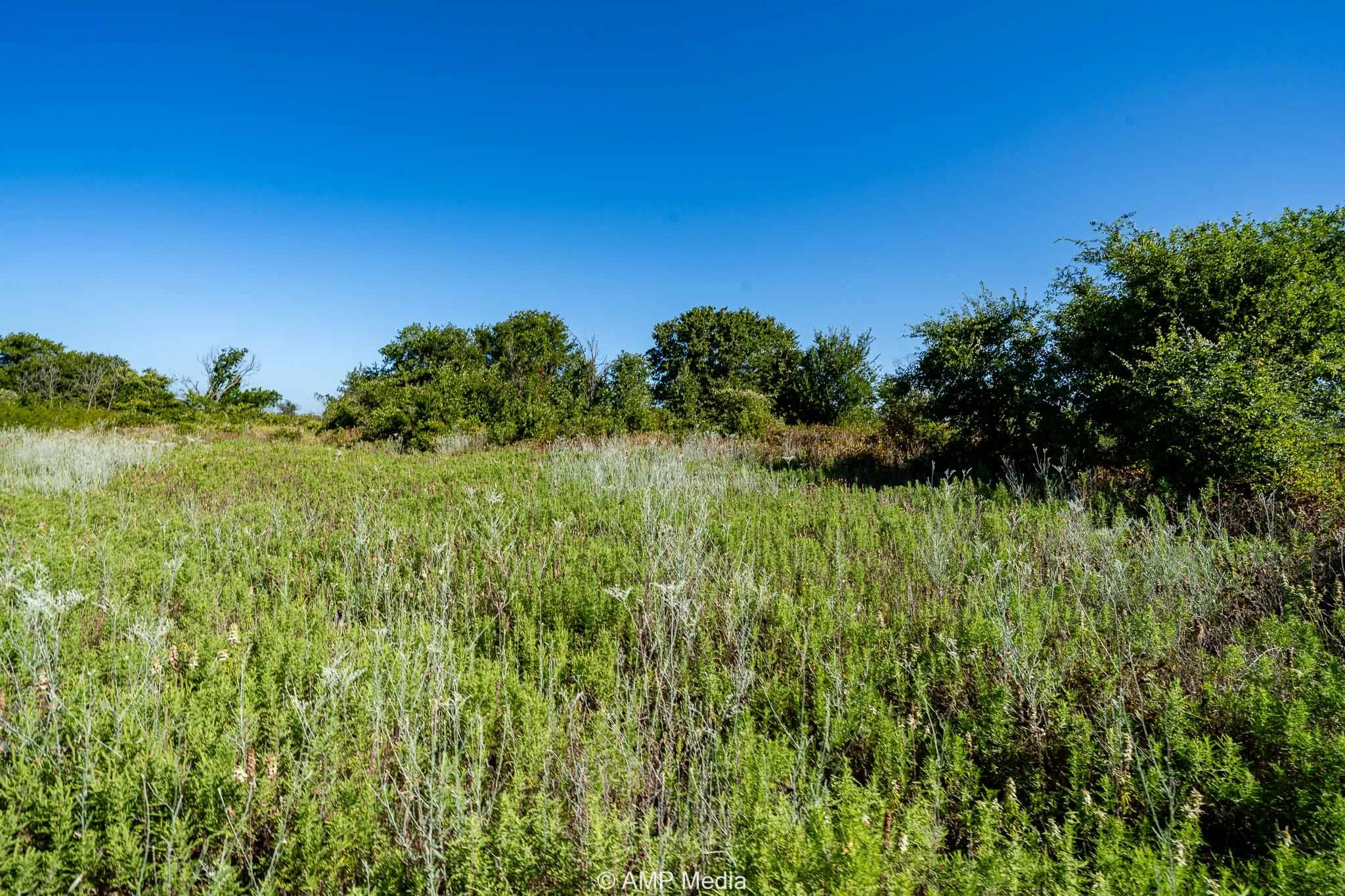 View of undeveloped land
