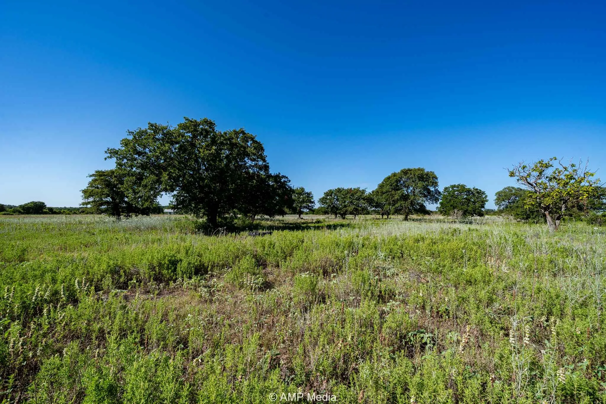 View of nature featuring rural landscape