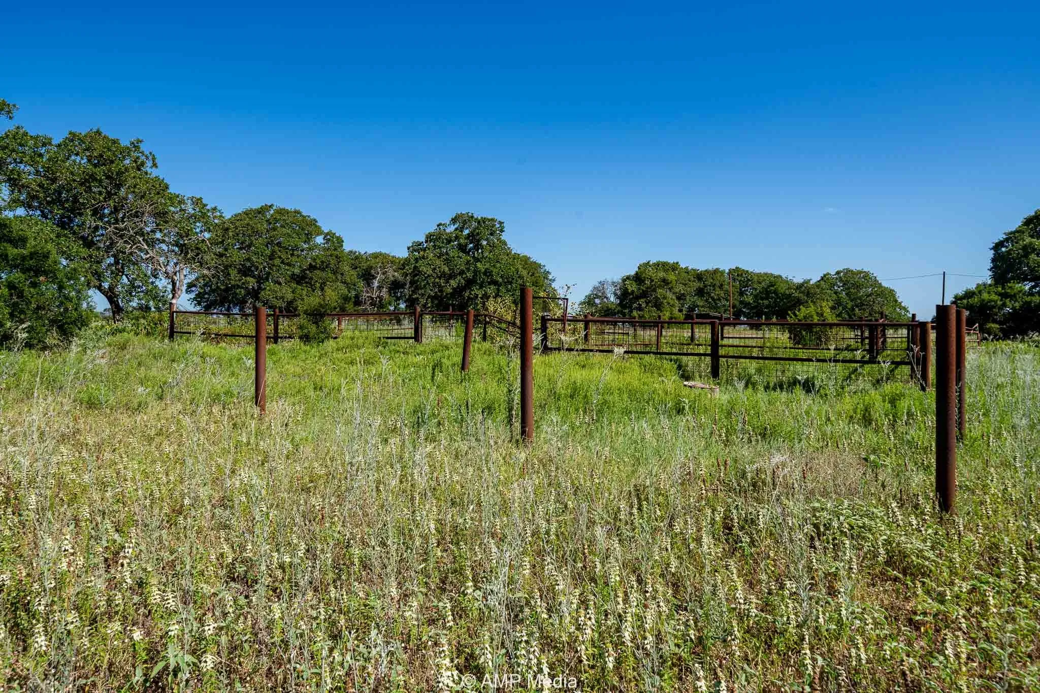View of yard with a view of rural / pastoral area