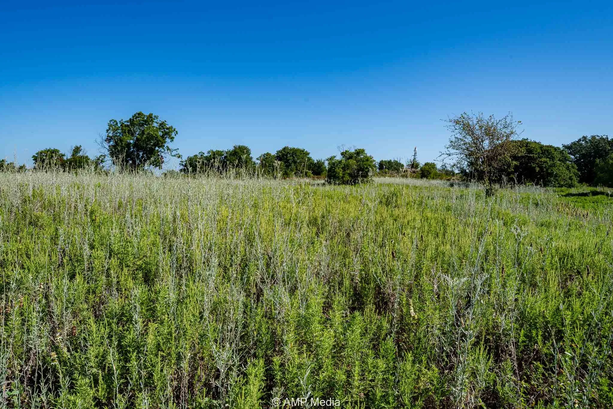 View of undeveloped land