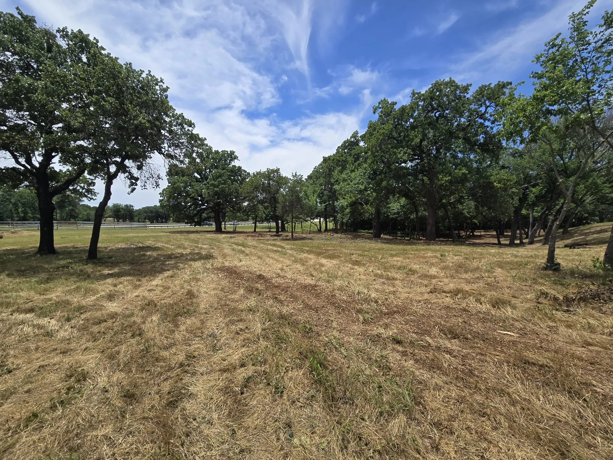 Unimproved Land For Sale in Denton County , 4401 Red Rock Lane, Flower Mound, Texas 75022, 0, 0, Garage spaces, 0 Sqft, built in 0, mls#21013235, Real Estate Agent in Flower Mound, Homes For Sale in Denton county, Homes For Sale in Flower Mound, Realtor in Flower Mound Texas, Real Estate Brokerage Independent Realty Texas, Luminita Cordes Realtor