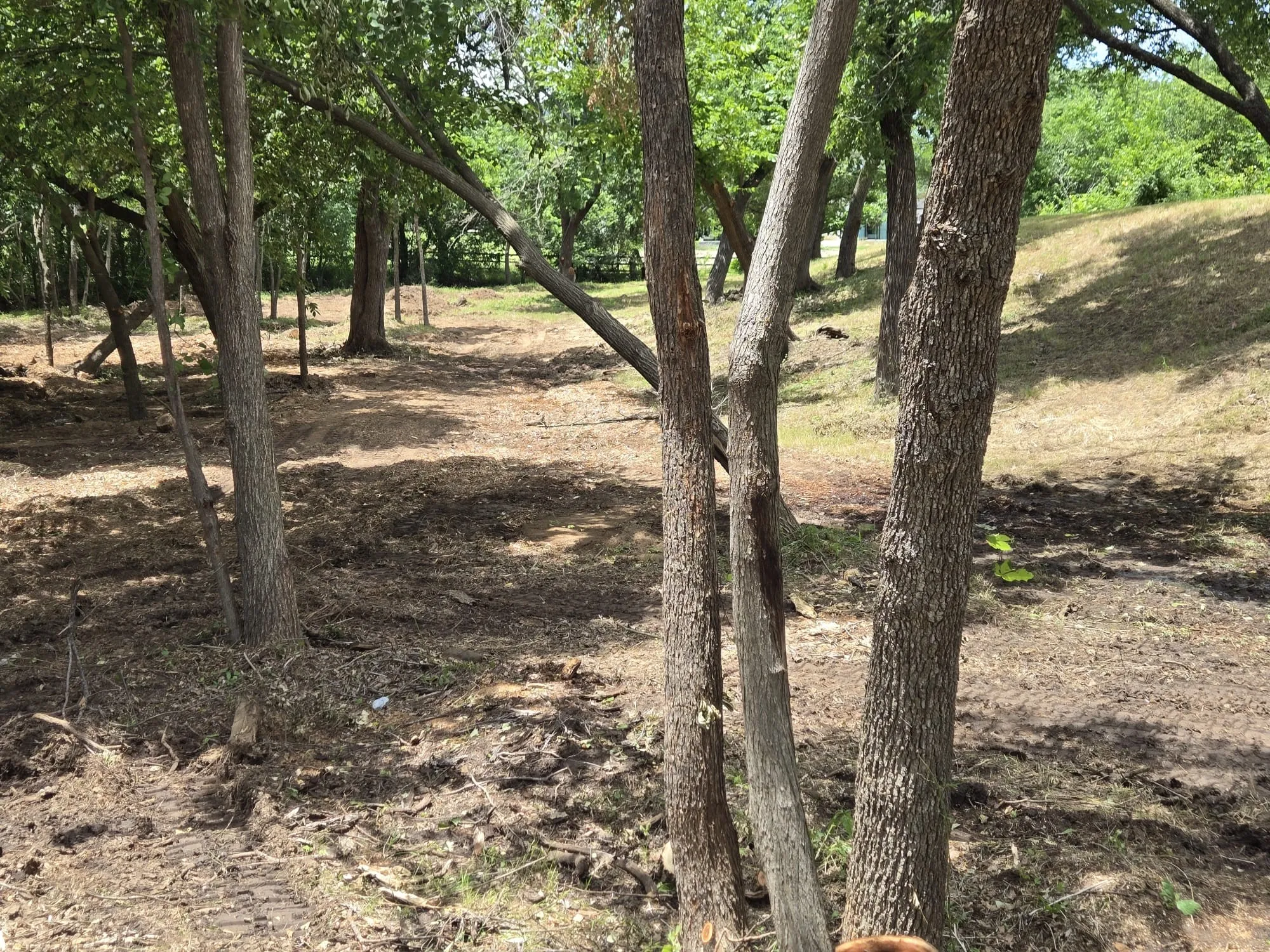 Unimproved Land For Sale in Denton County , 4401 Red Rock Lane, Flower Mound, Texas 75022, 0, 0, Garage spaces, 0 Sqft, built in 0, mls#21013235, Real Estate Agent in Flower Mound, Homes For Sale in Denton county, Homes For Sale in Flower Mound, Realtor in Flower Mound Texas, Real Estate Brokerage Independent Realty Texas, Luminita Cordes Realtor